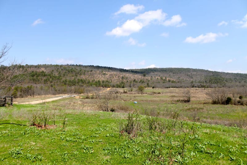 Daisy Meadows Tract 12 photo 5