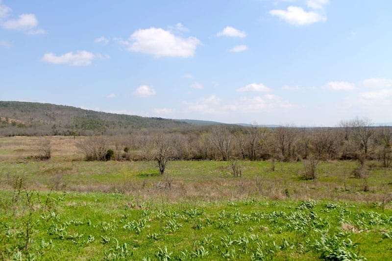 Daisy Meadows Tract 12 photo 6