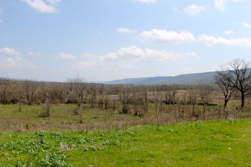 Daisy Meadows Tract 12 photo 7