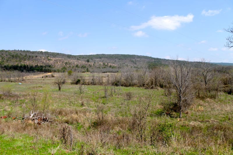 Daisy Meadows Tract 12 photo 8