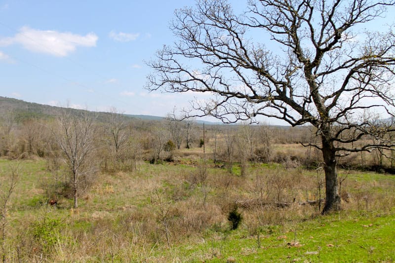 Daisy Meadows Tract 12 photo 9