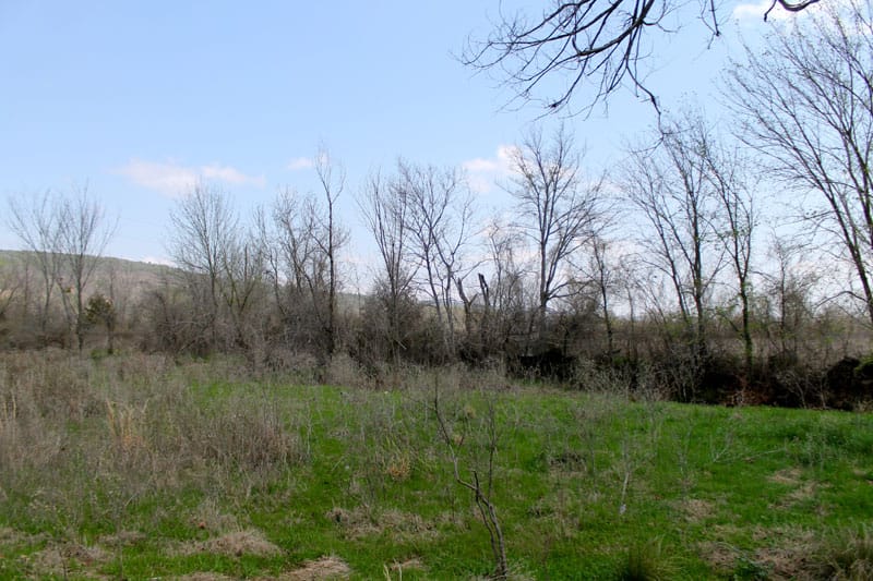 Daisy Meadows Tract 12 photo 10