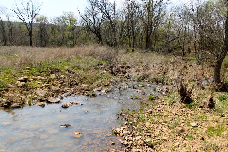 Daisy Meadows Tract 12 photo 13