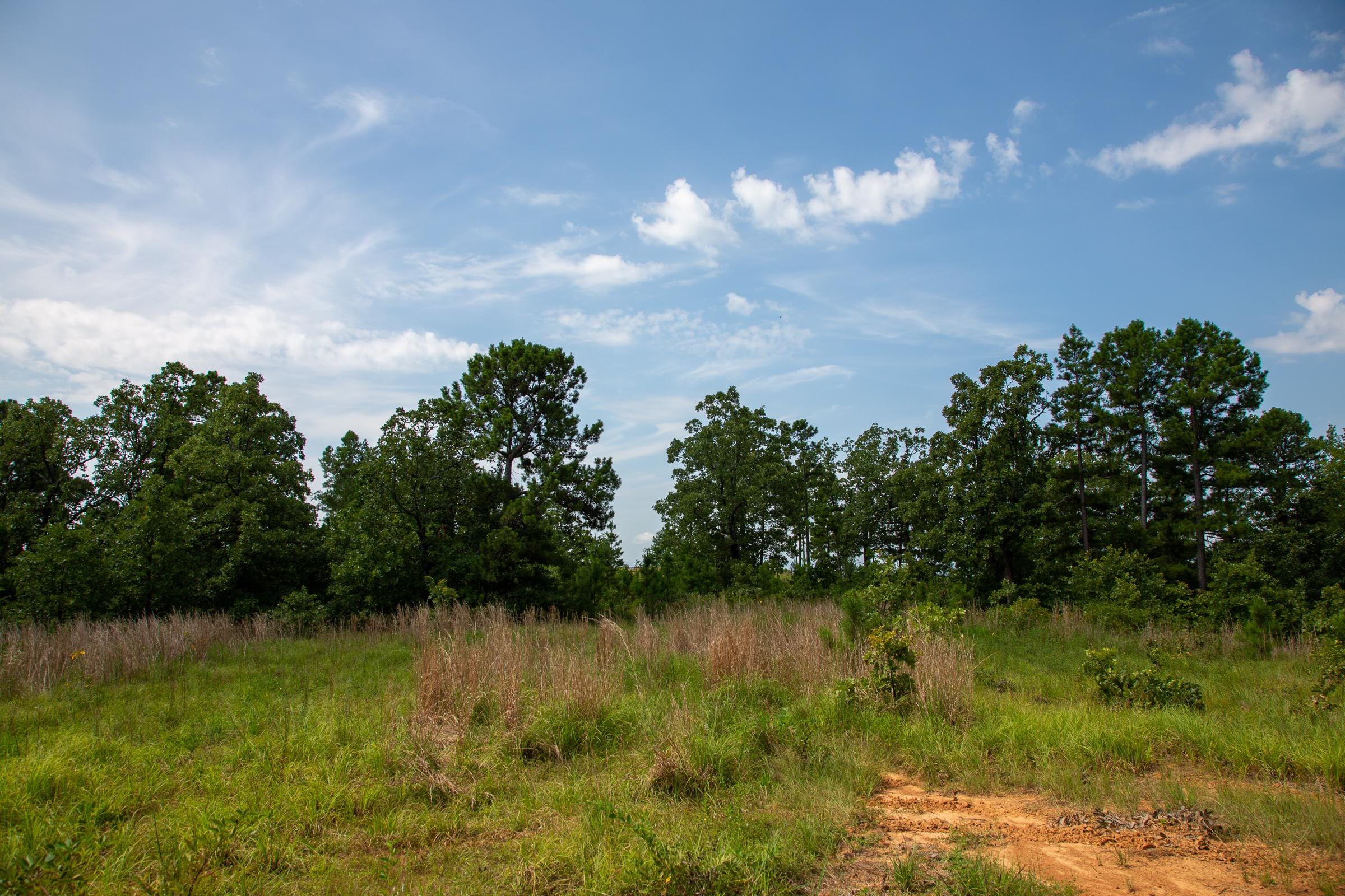 Tyler Stone Ranch Tract 55 photo 2