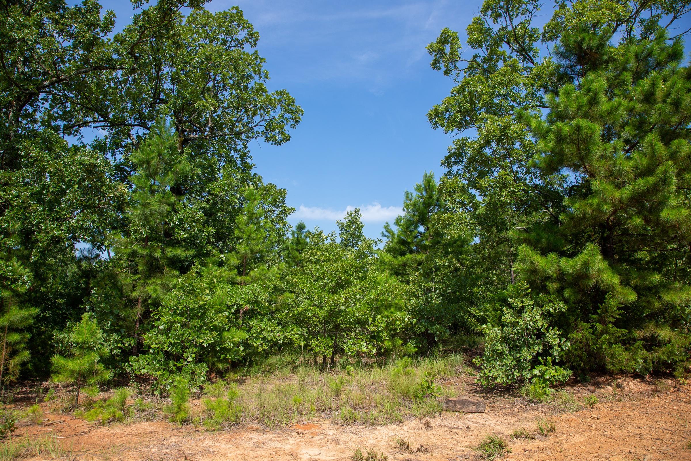 Tyler Stone Ranch Tract 55 photo 1