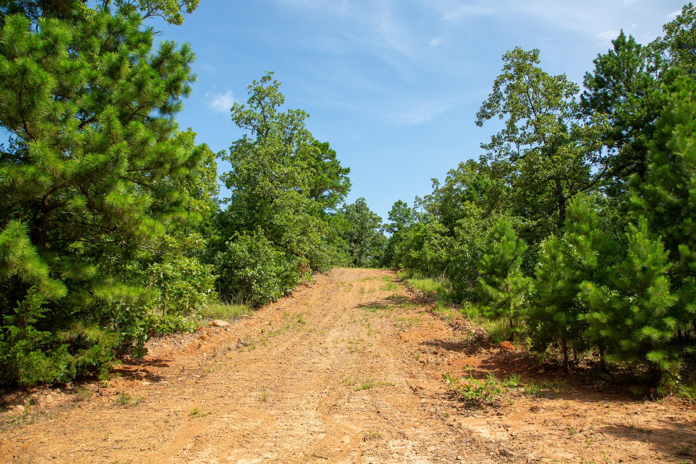Tyler Stone Ranch Tract 55 photo 3