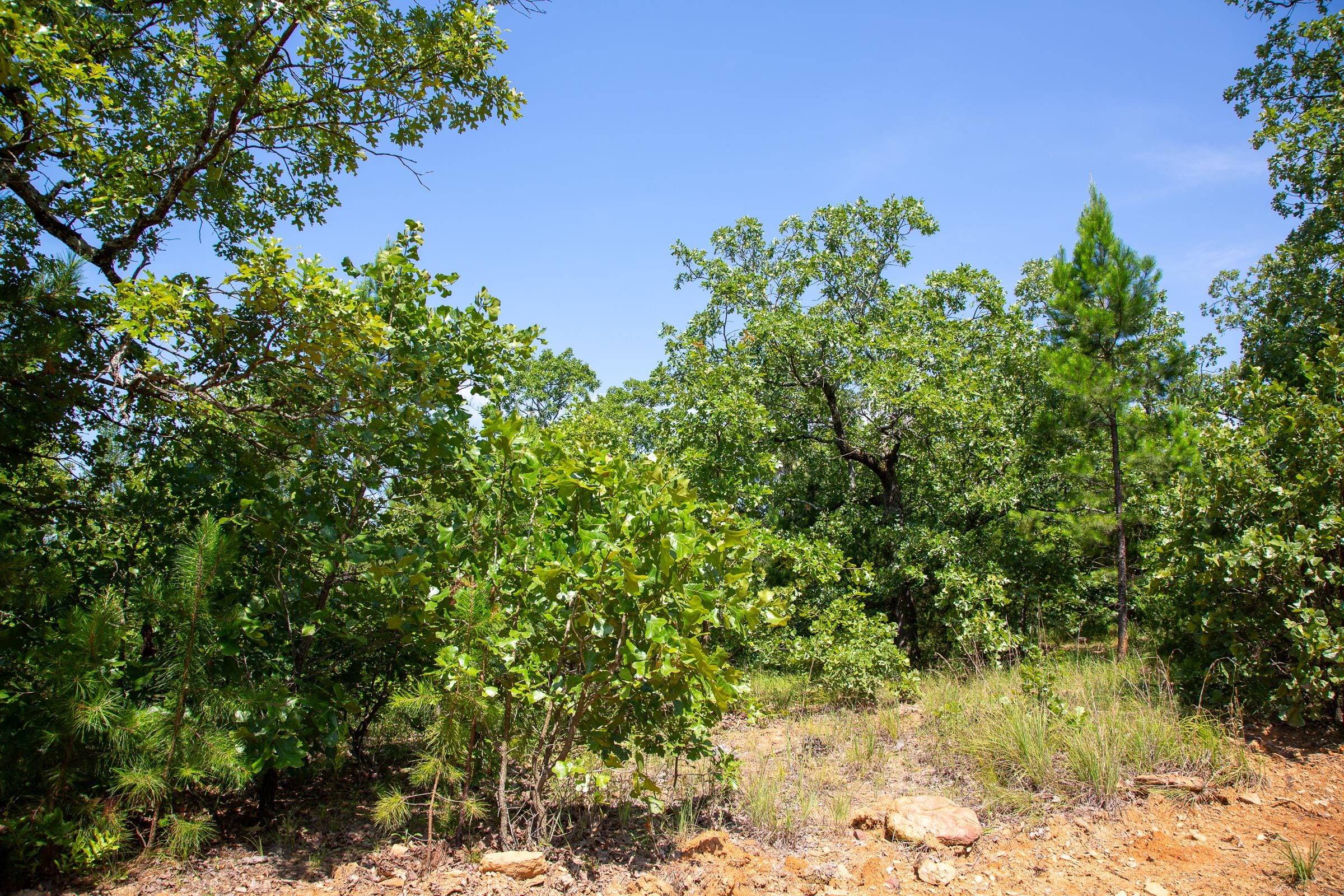 Tyler Stone Ranch Tract 55 photo 4