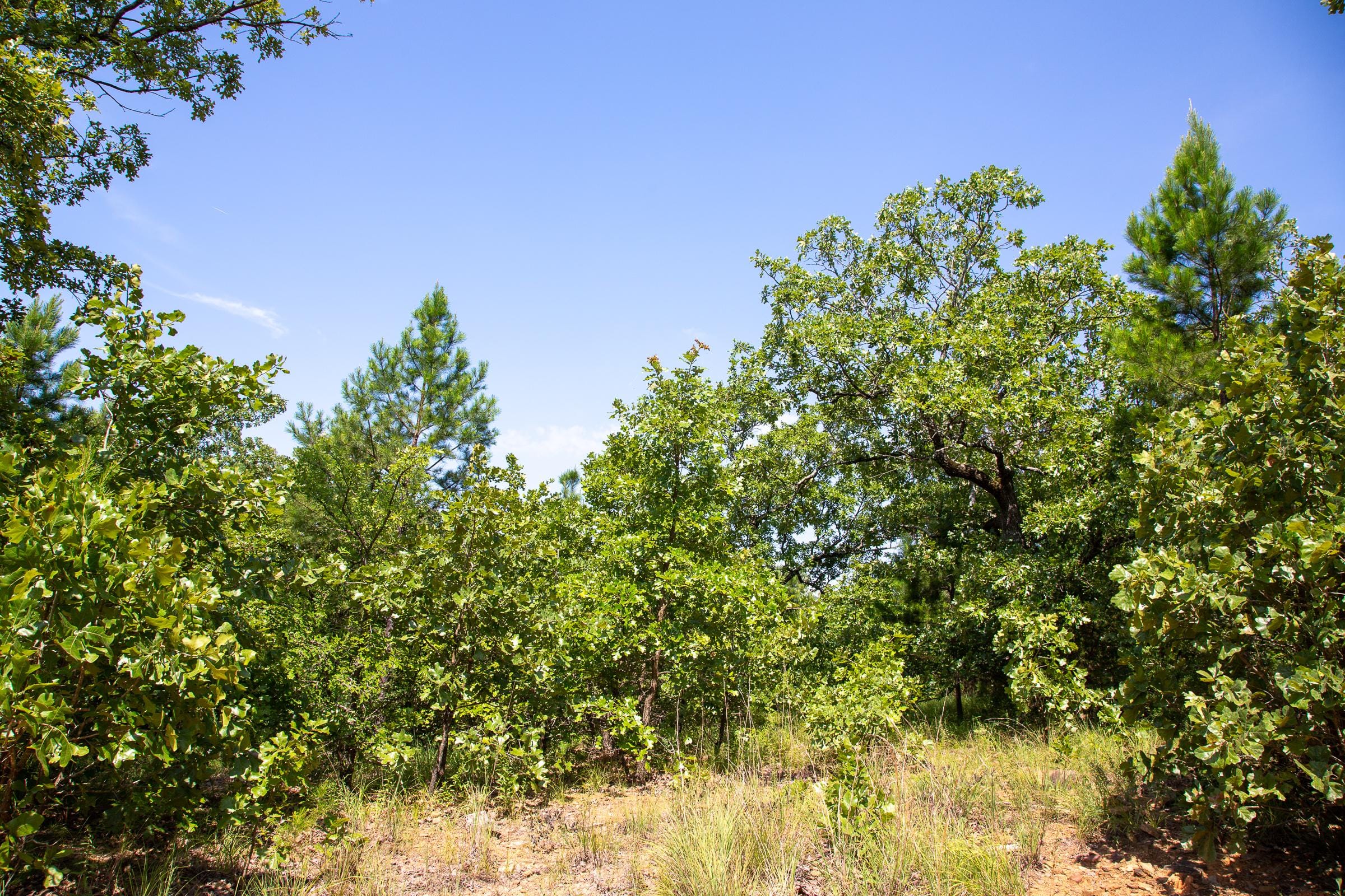 Tyler Stone Ranch Tract 55 photo 5