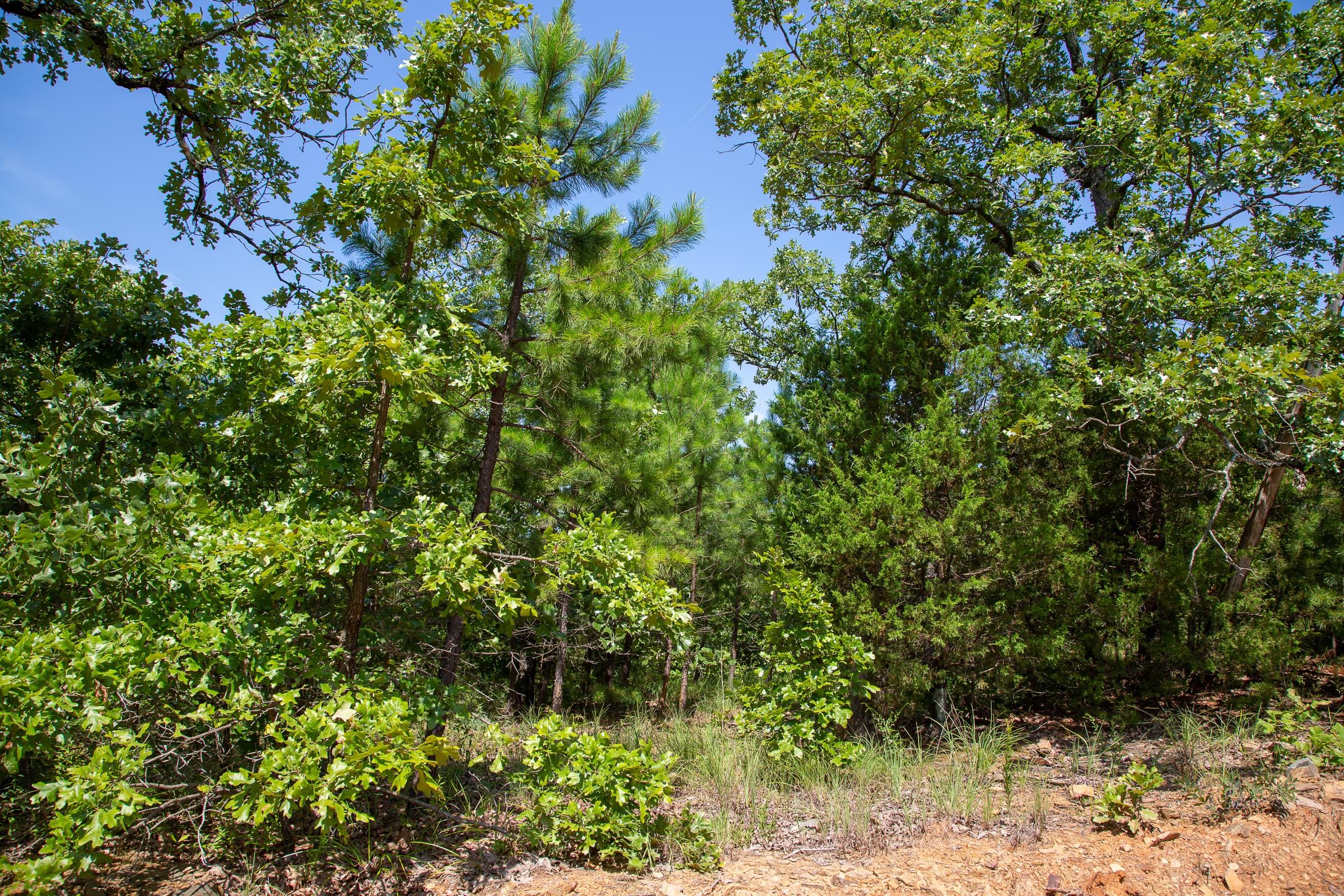 Tyler Stone Ranch Tract 55 photo 6