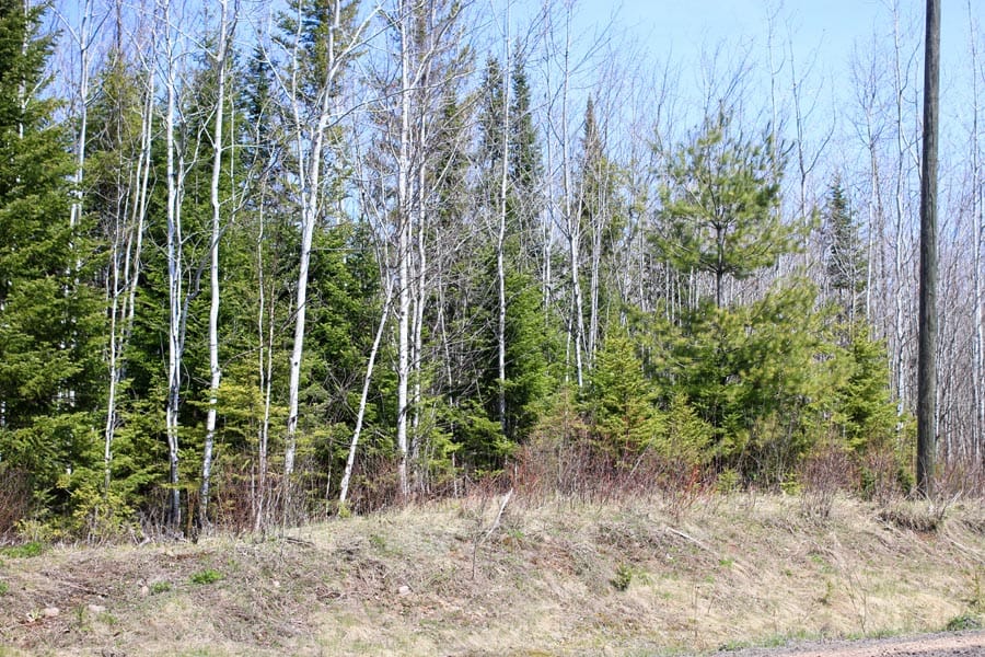 Abby Point Tract 4 photo 3