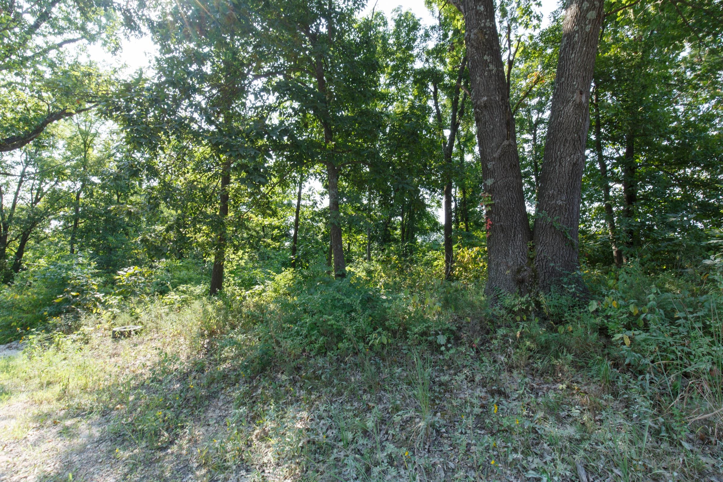 Spring Lake Plat 4 Tract 19 photo 4