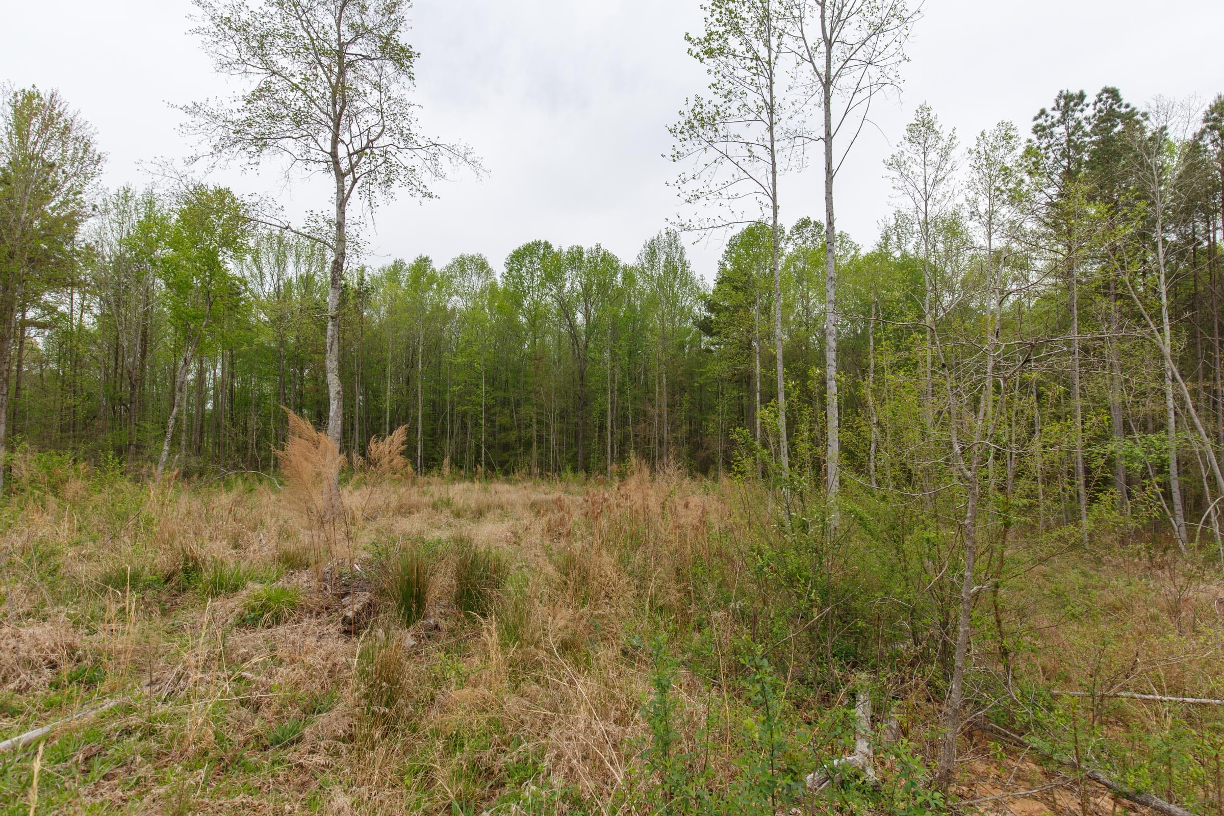 Twin Rivers Tract 18 photo 5