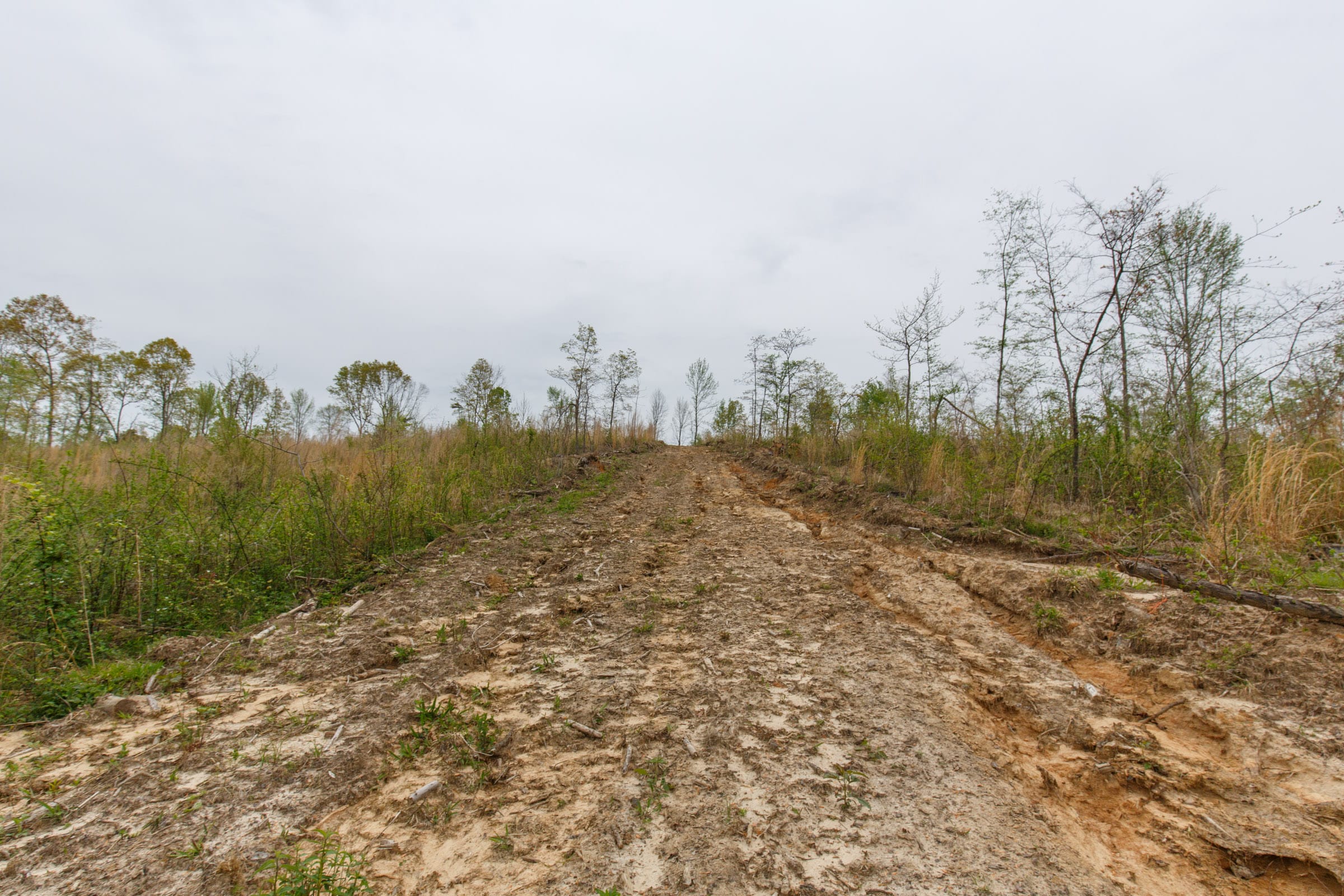 Twin Rivers Tract 18 photo 6