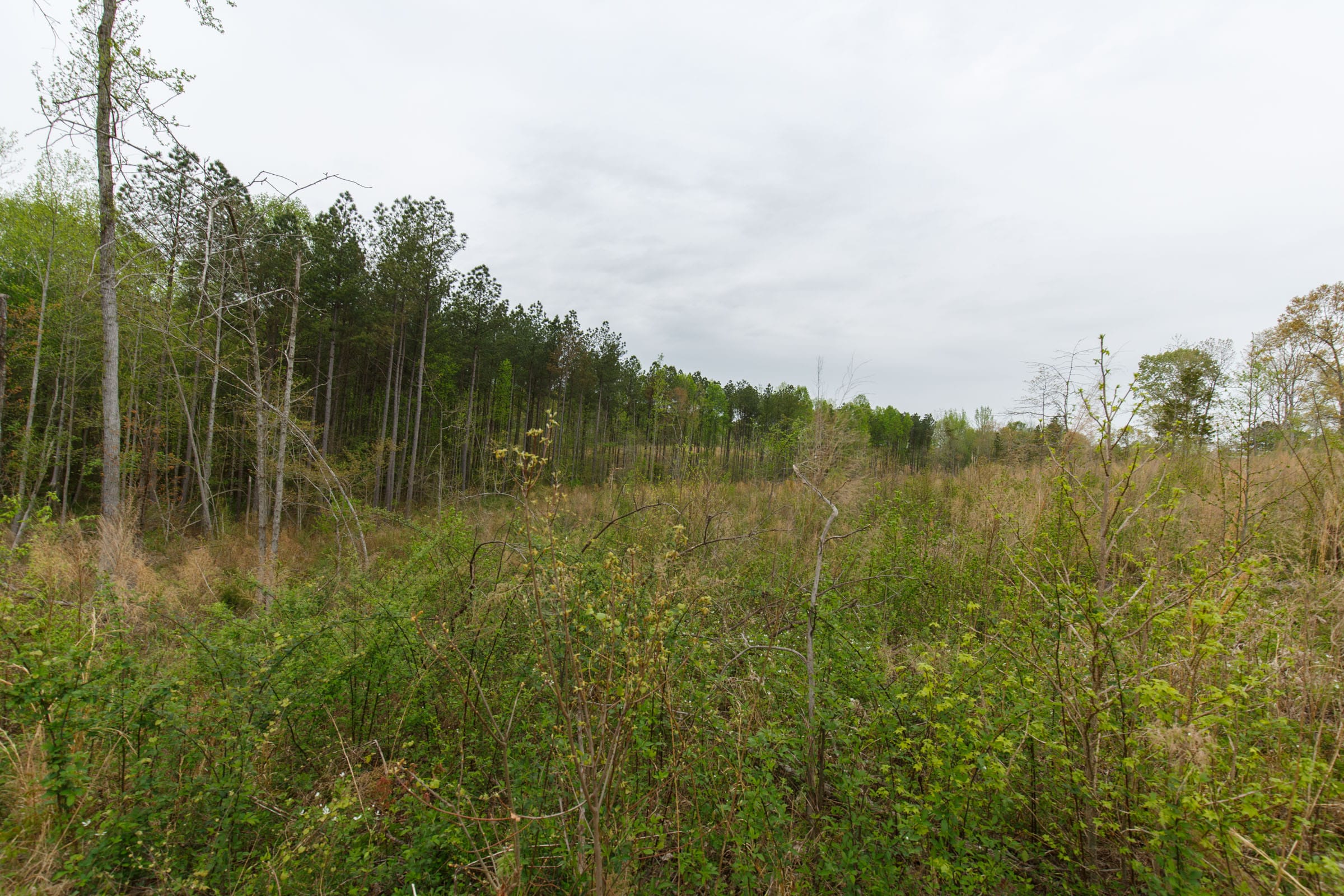 Twin Rivers Tract 18 photo 1