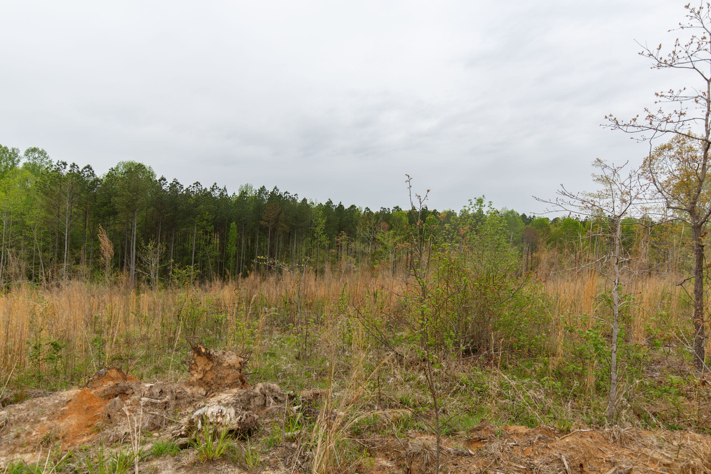 Twin Rivers Tract 18 photo 8