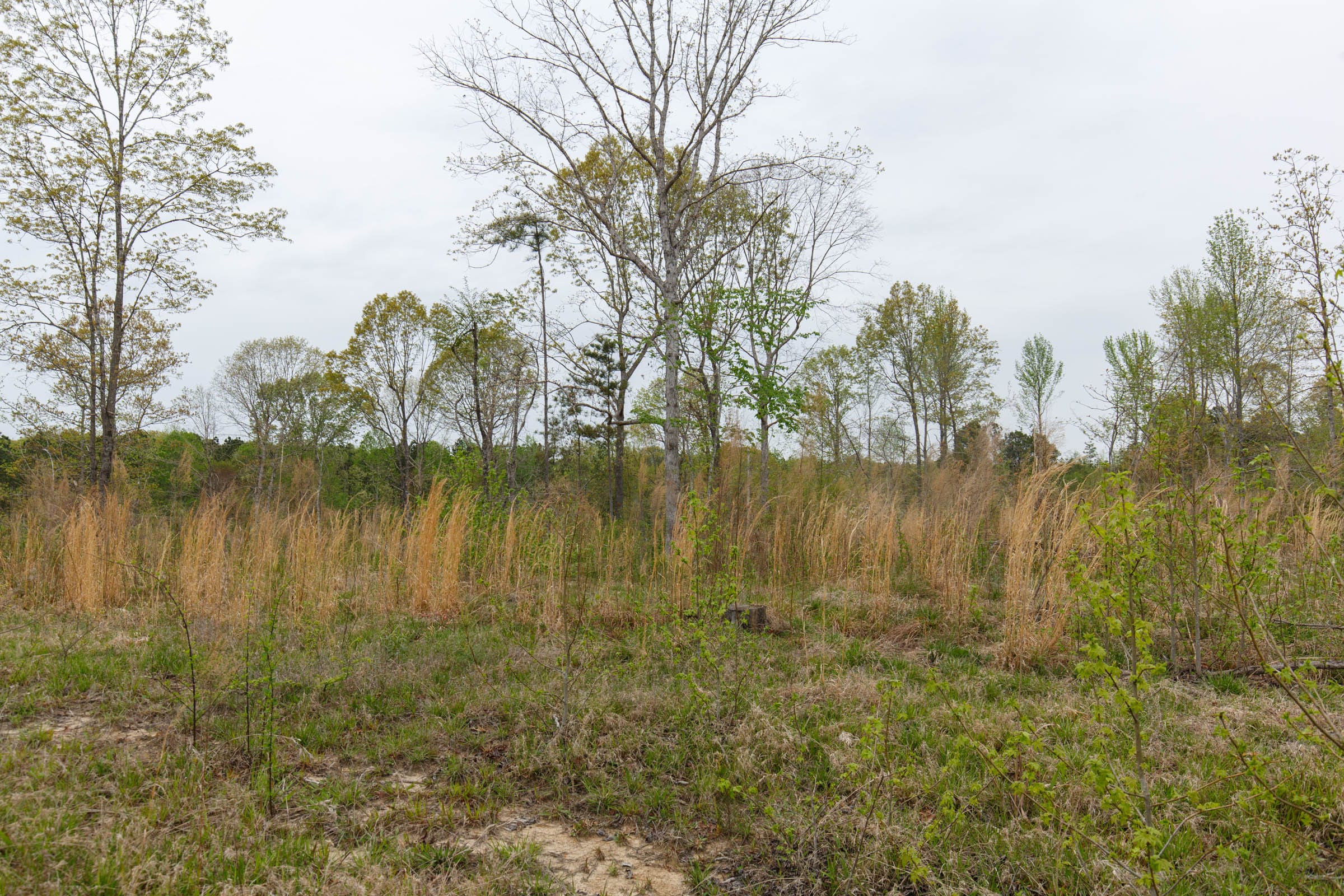 Twin Rivers Tract 18 photo 7