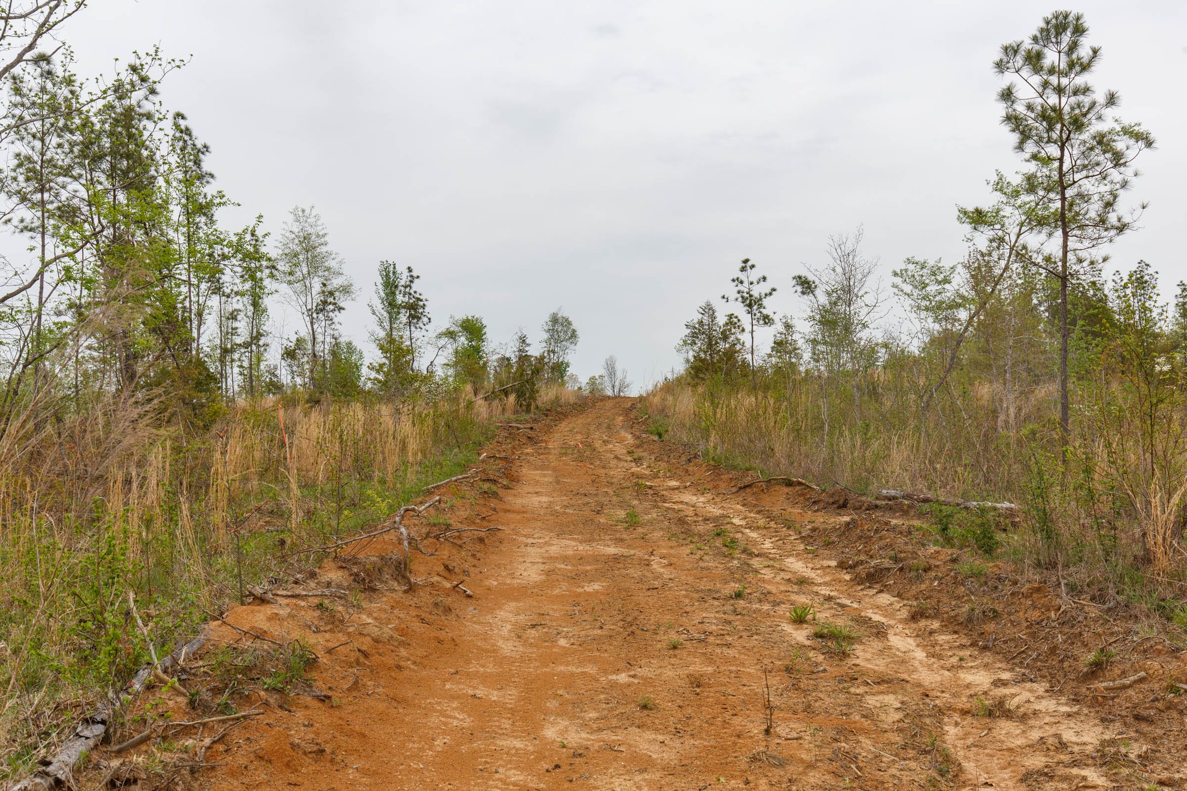 Twin Rivers Tract 18 photo 3