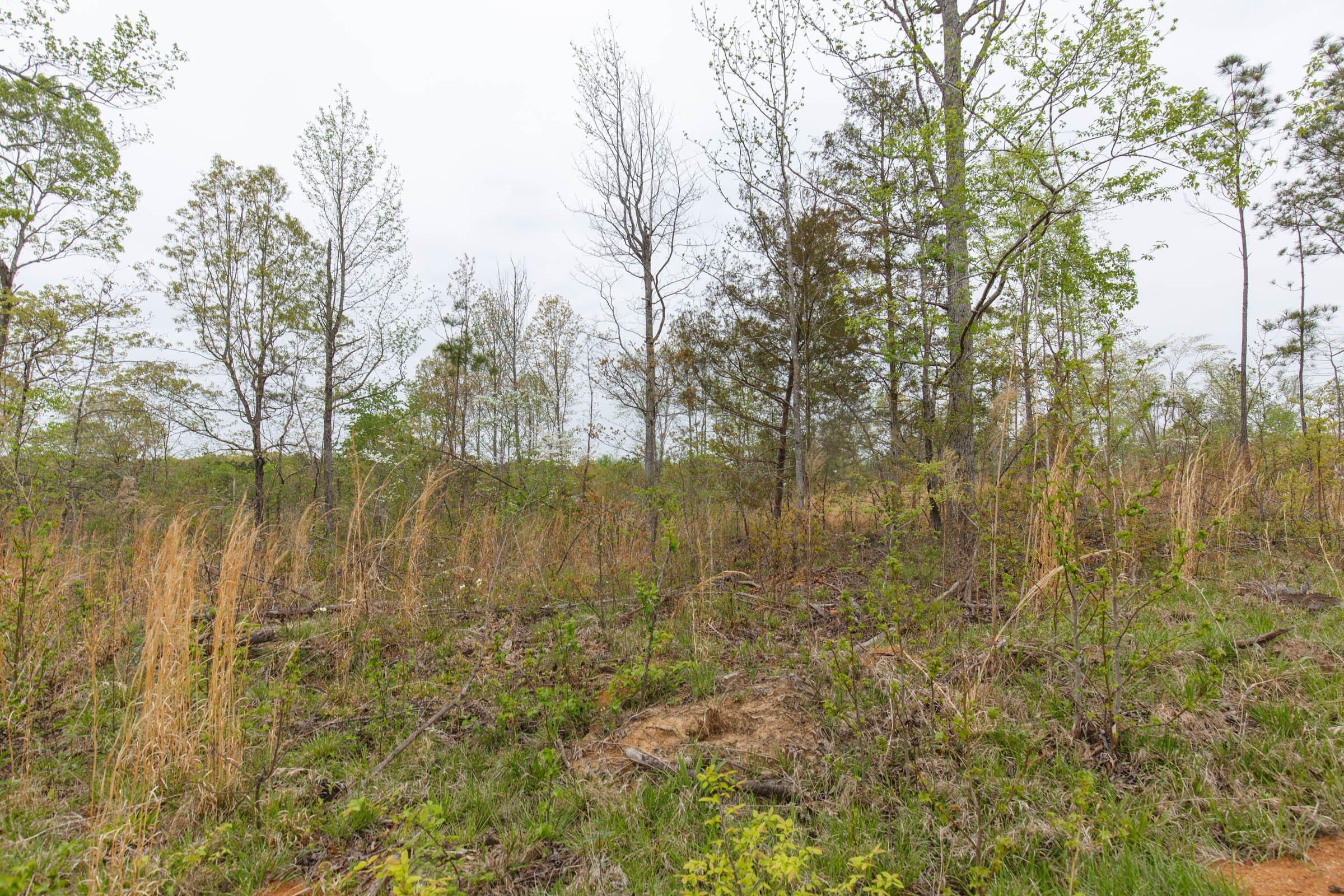Twin Rivers Tract 18 photo 9