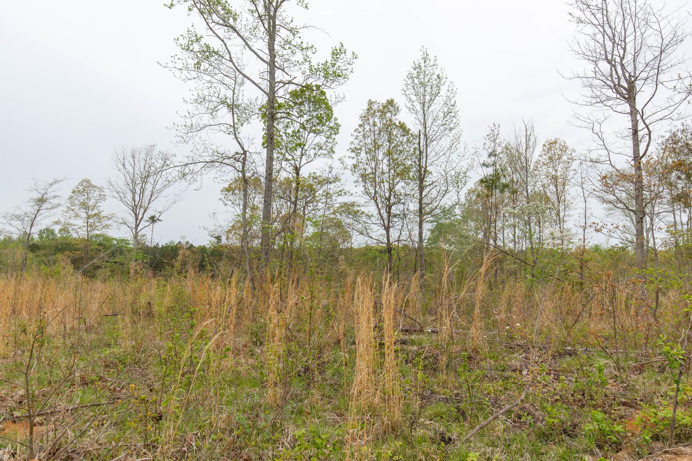 Twin Rivers Tract 18 photo 2
