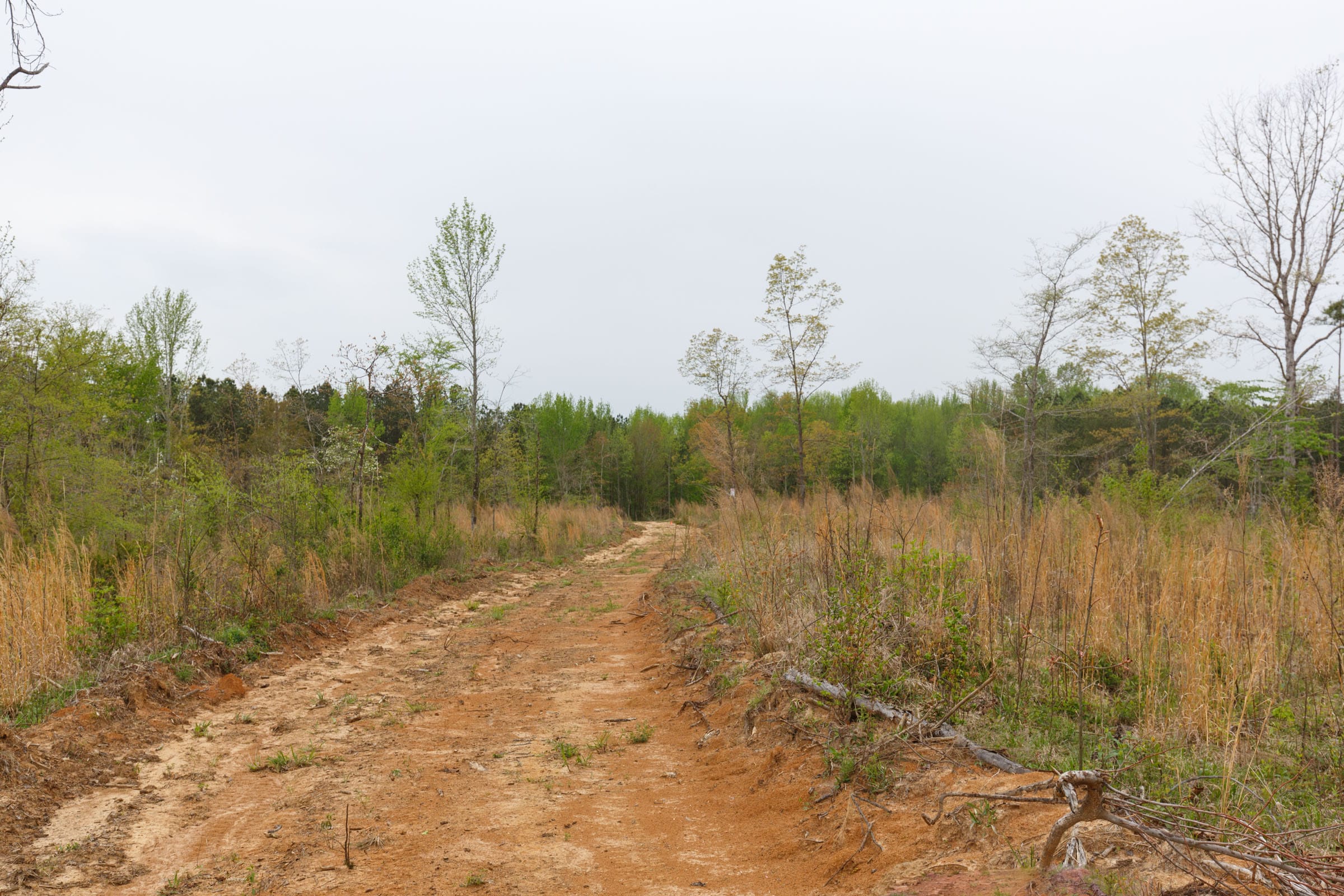 Twin Rivers Tract 18 photo 10