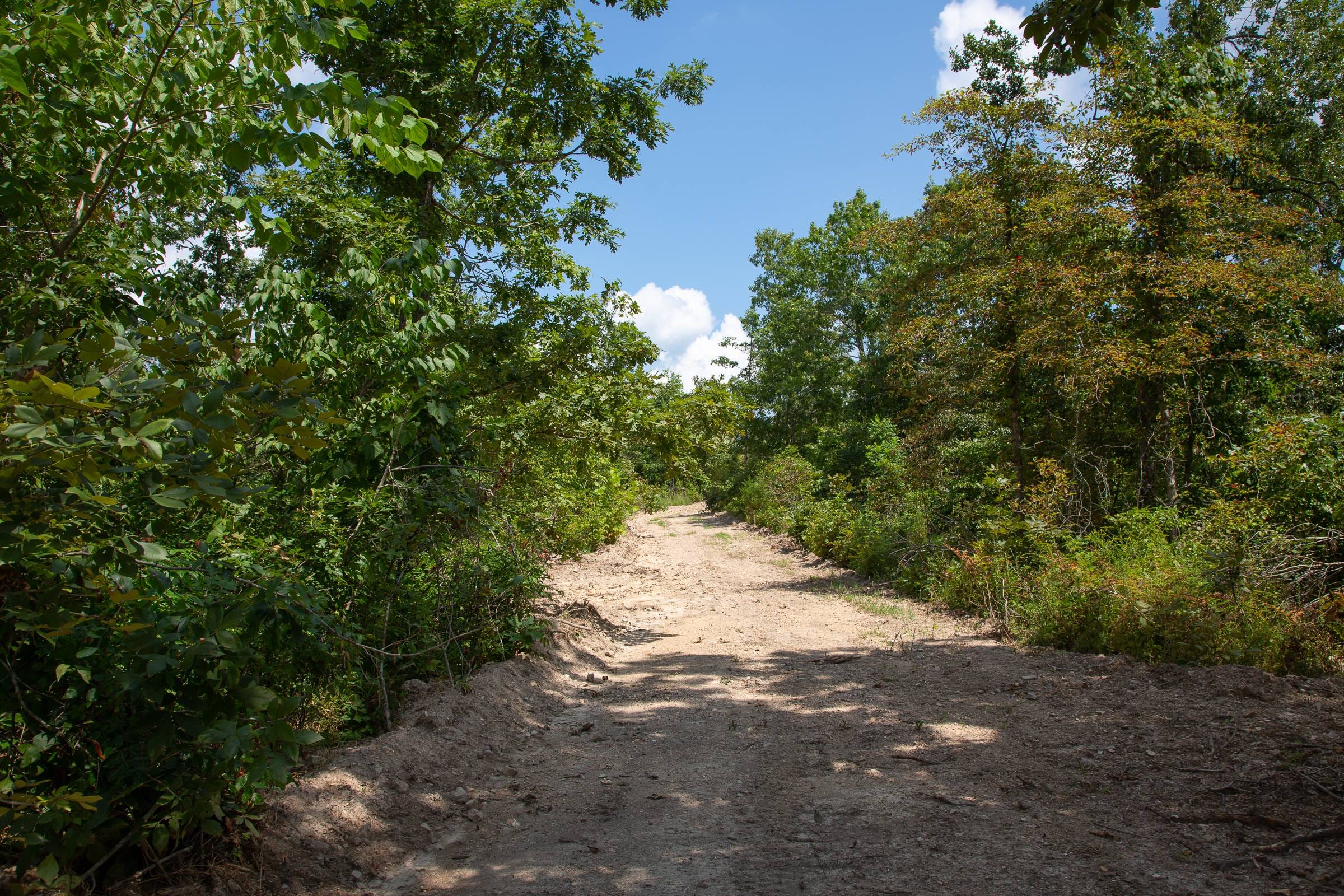 Borgmann’s Hollow Phase I Tract 6 photo 2