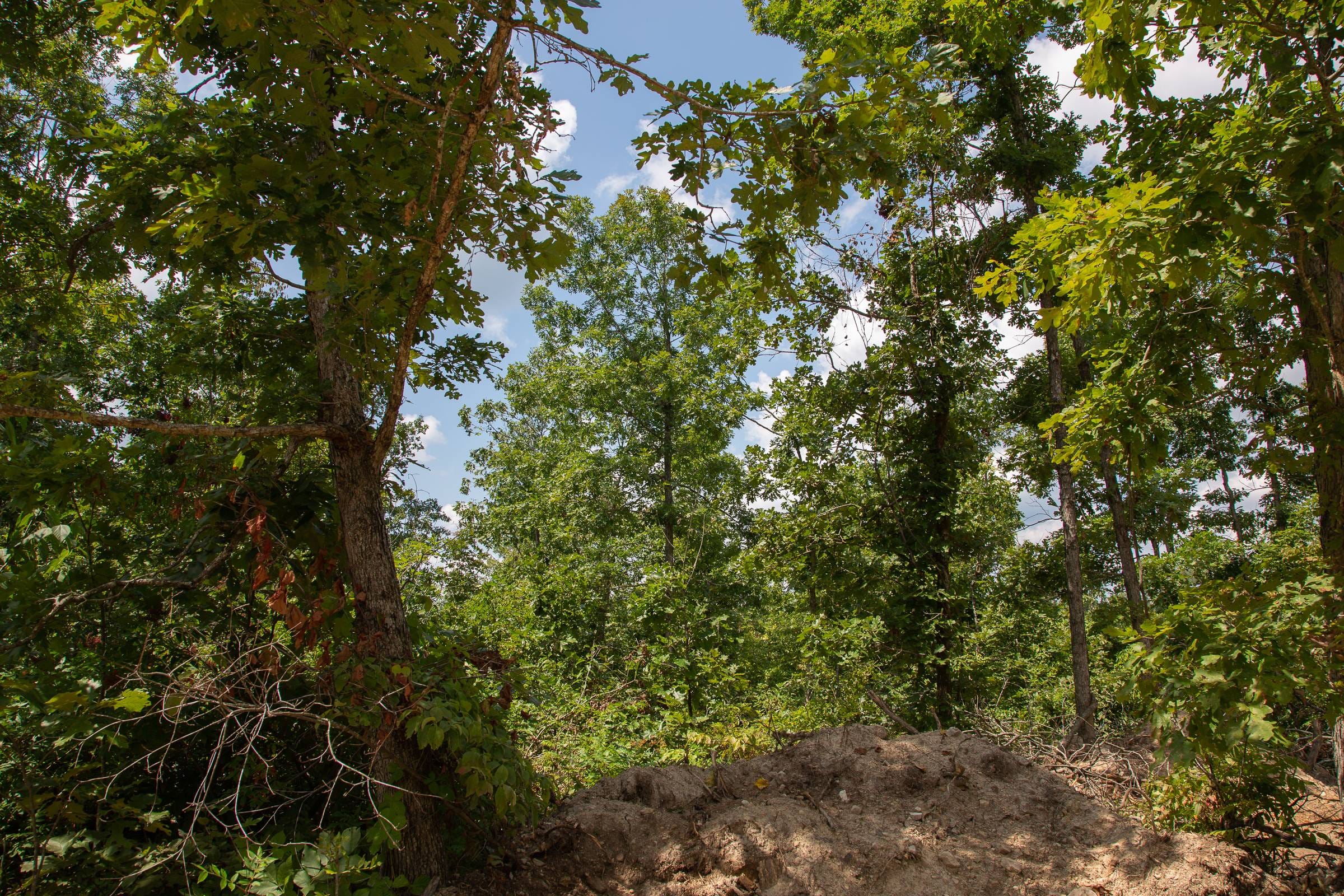Borgmann’s Hollow Phase I Tract 6 photo 4