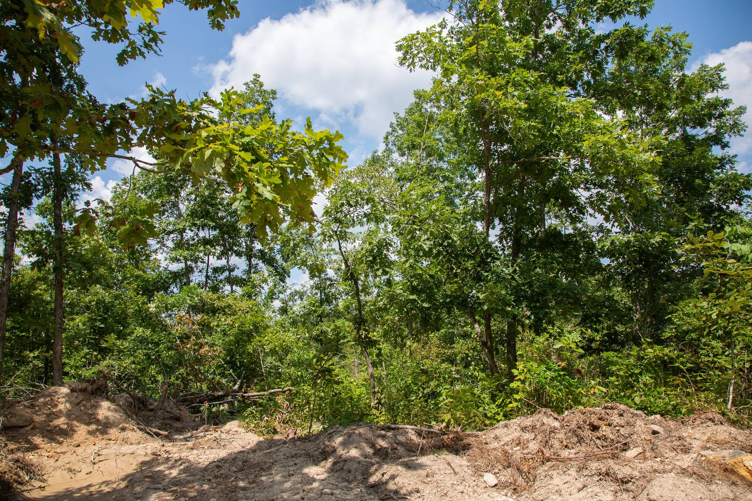 Borgmann’s Hollow Phase I Tract 6 photo 5