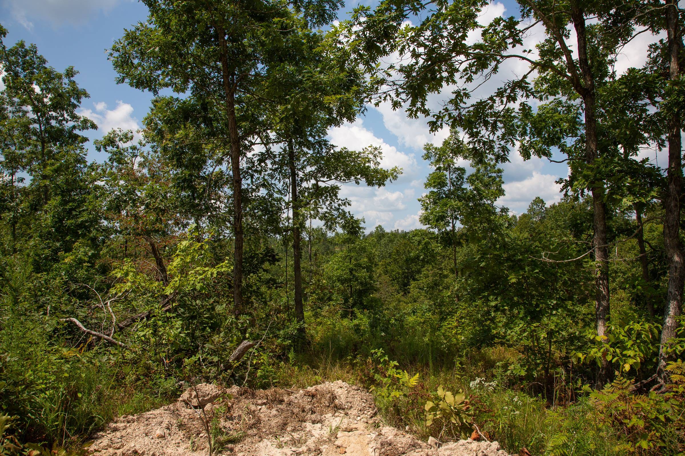 Borgmann’s Hollow Phase I Tract 6 photo 8