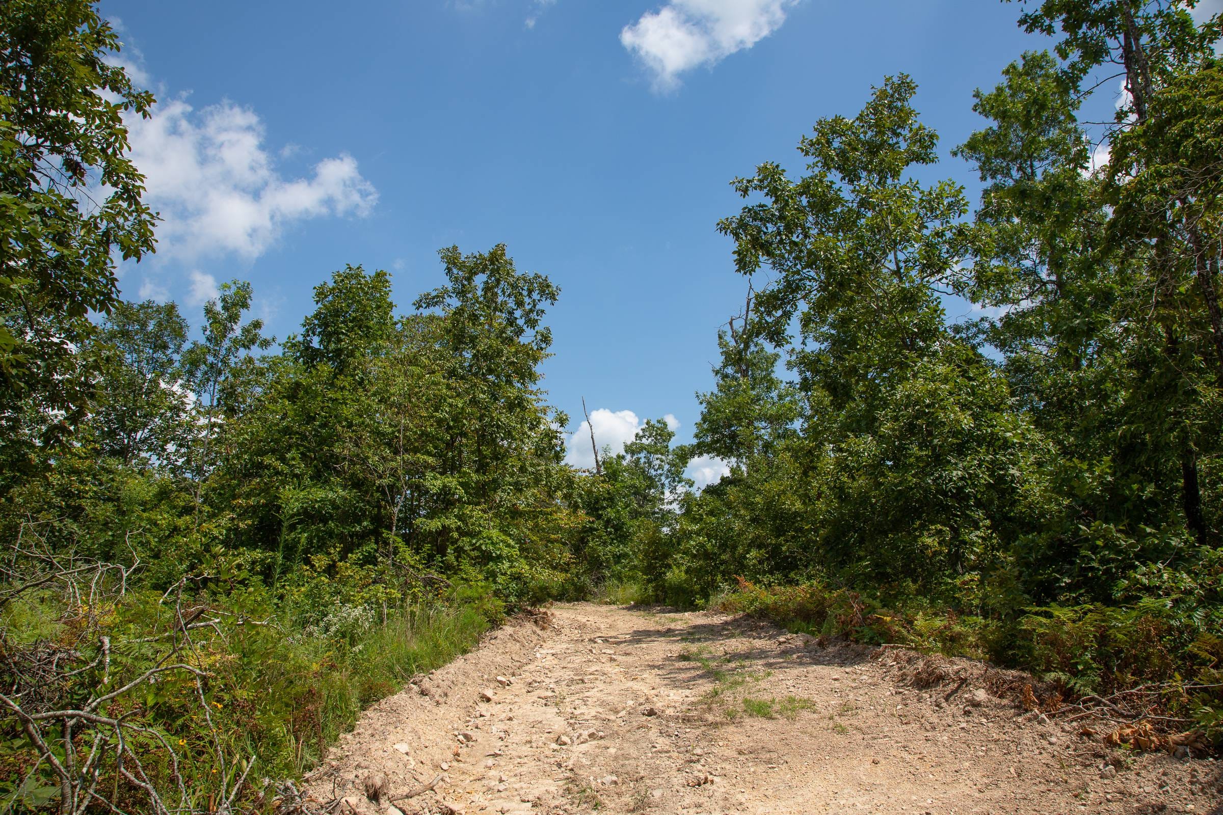 Borgmann’s Hollow Phase I Tract 6 photo 9