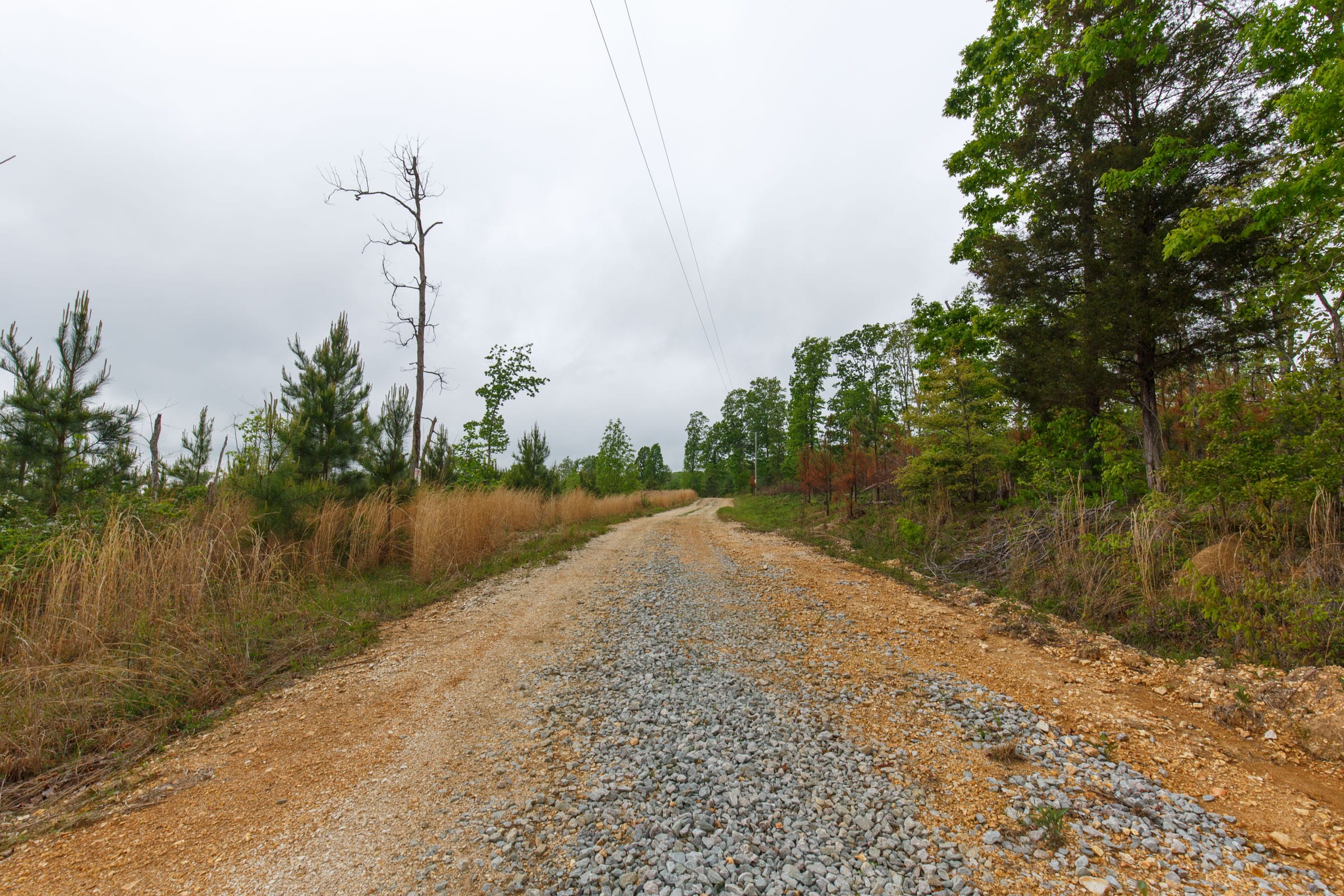 Red Barn Ranch Tract 7 photo 4