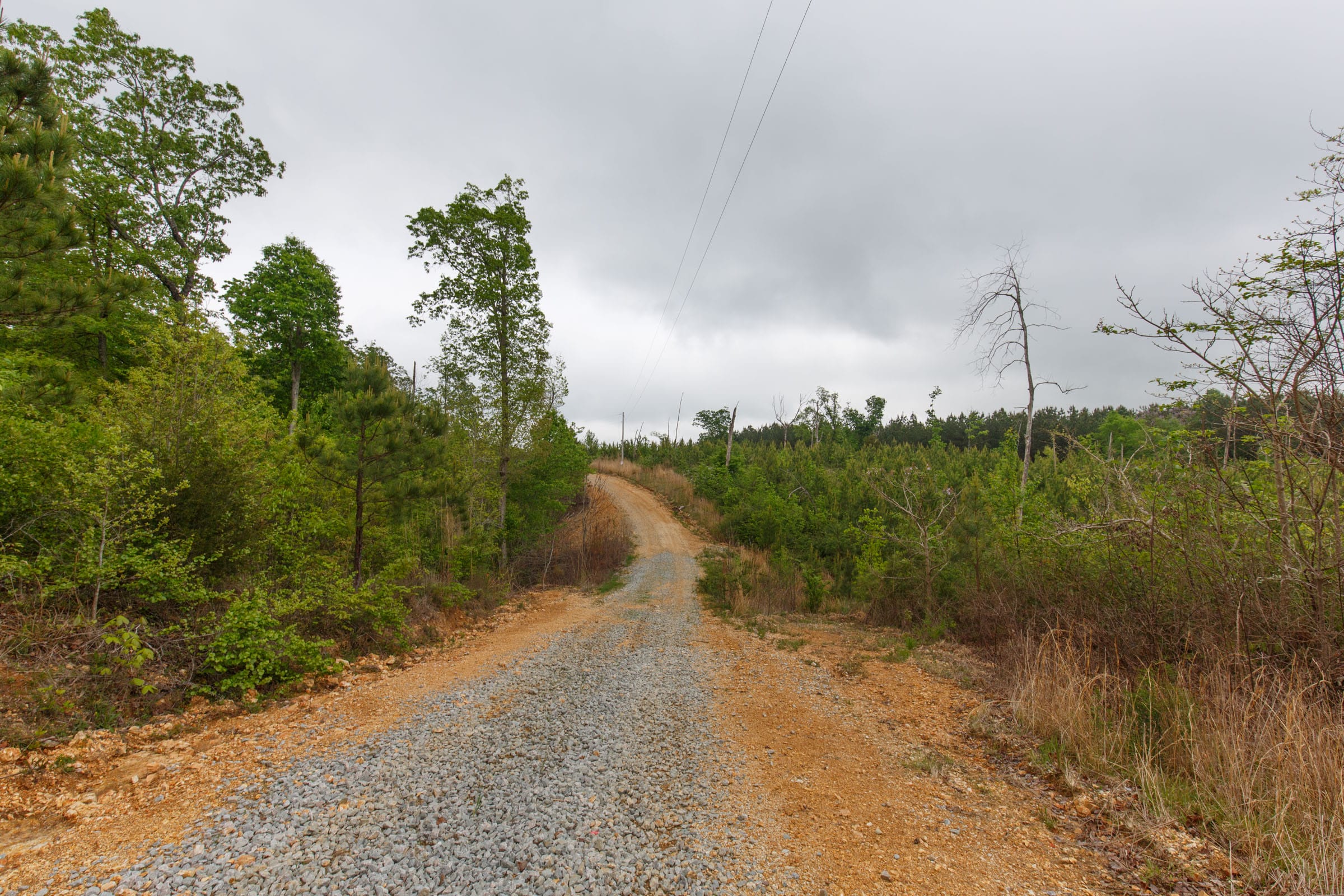 Red Barn Ranch Tract 7 photo 1