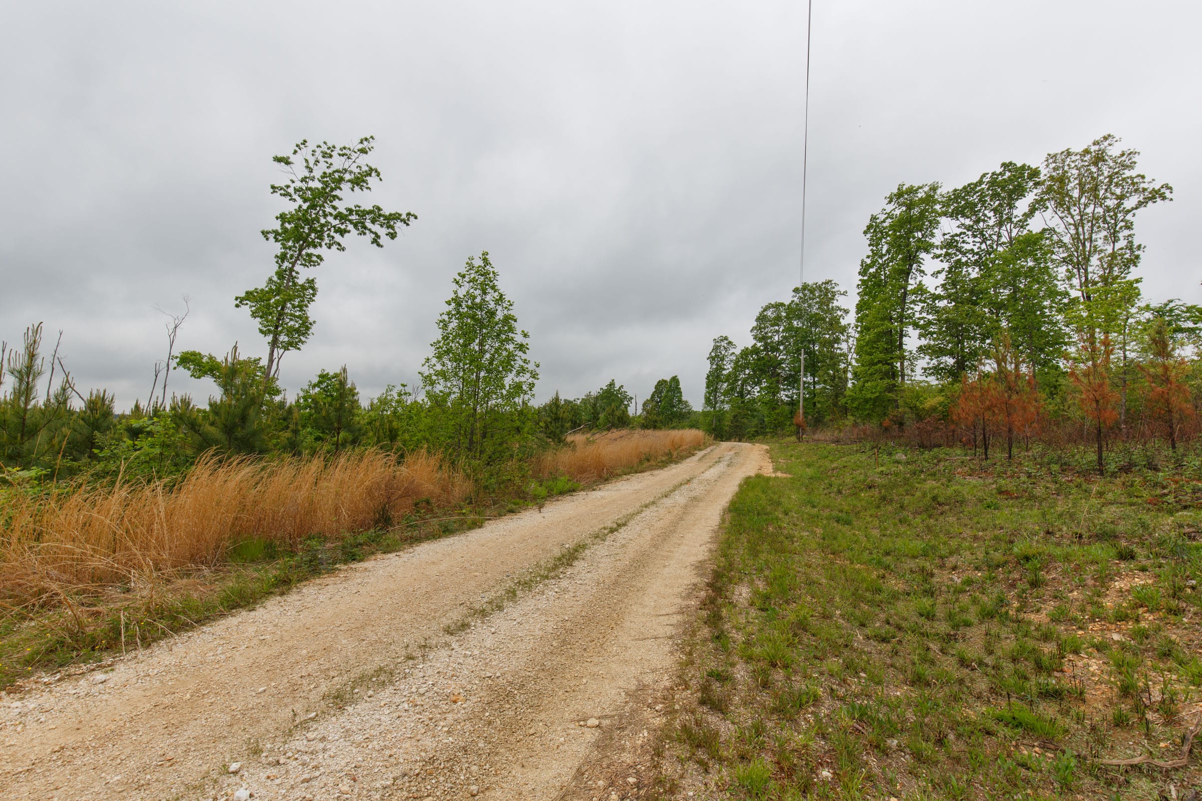 Red Barn Ranch Tract 7 photo 7