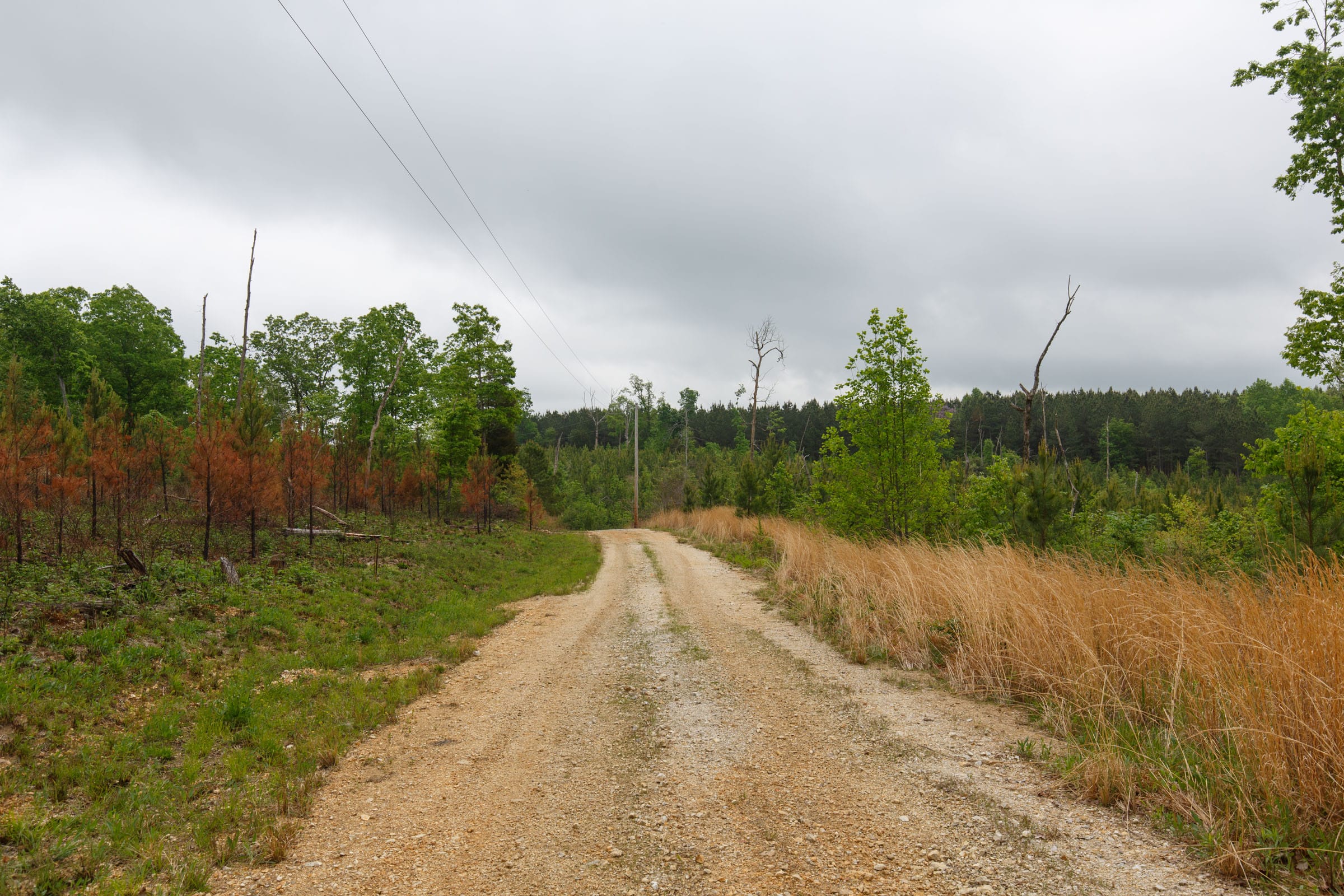 Red Barn Ranch Tract 7 photo 10