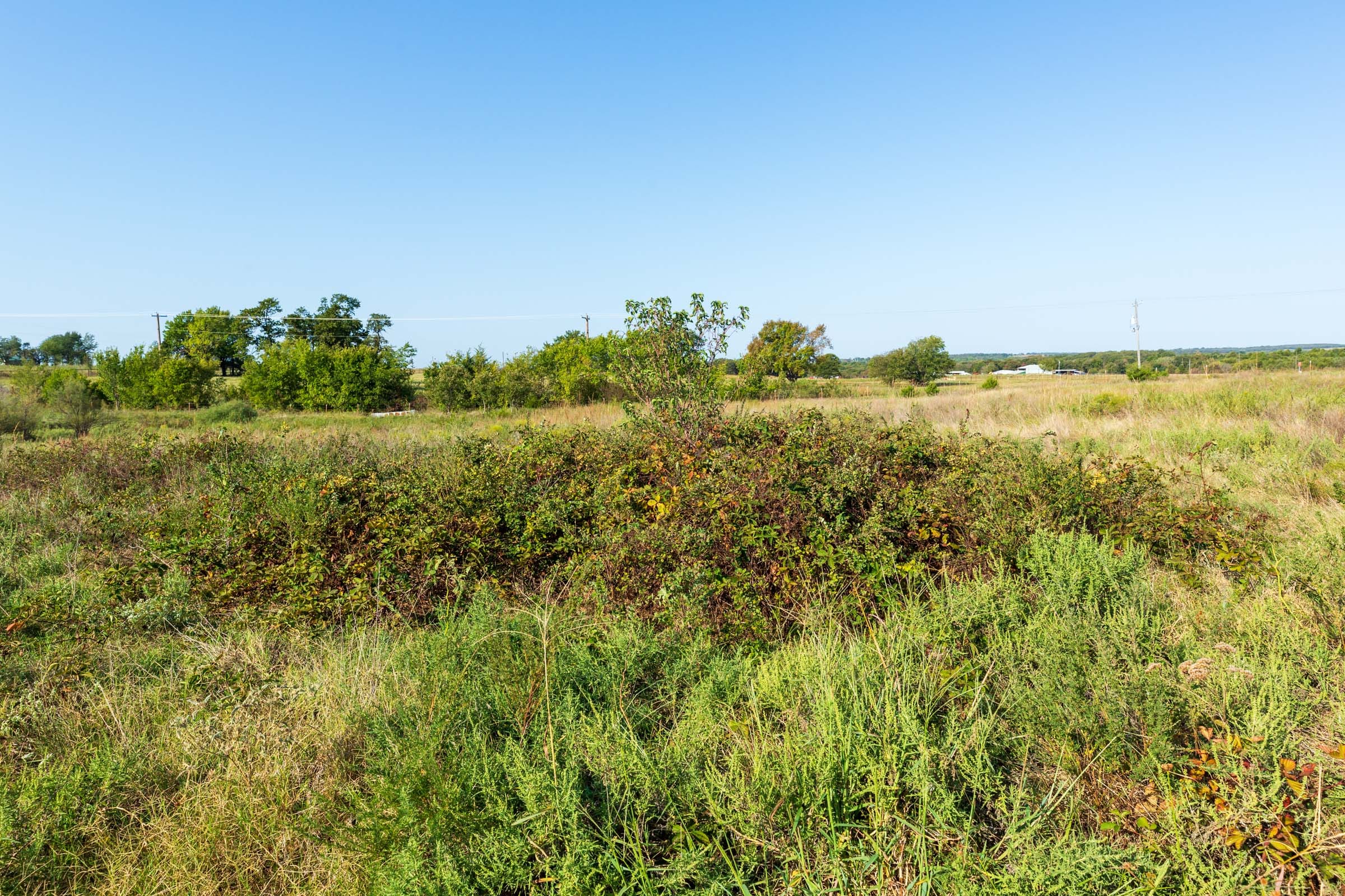 Canyon Creek Tract 4 photo 6
