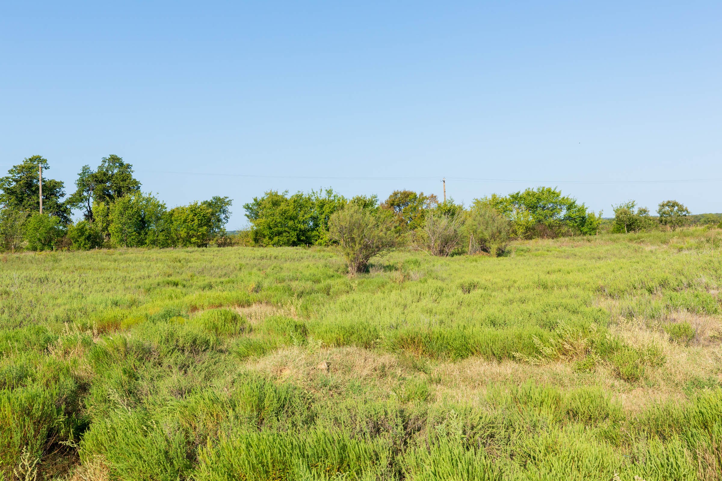Canyon Creek Tract 4 photo 4