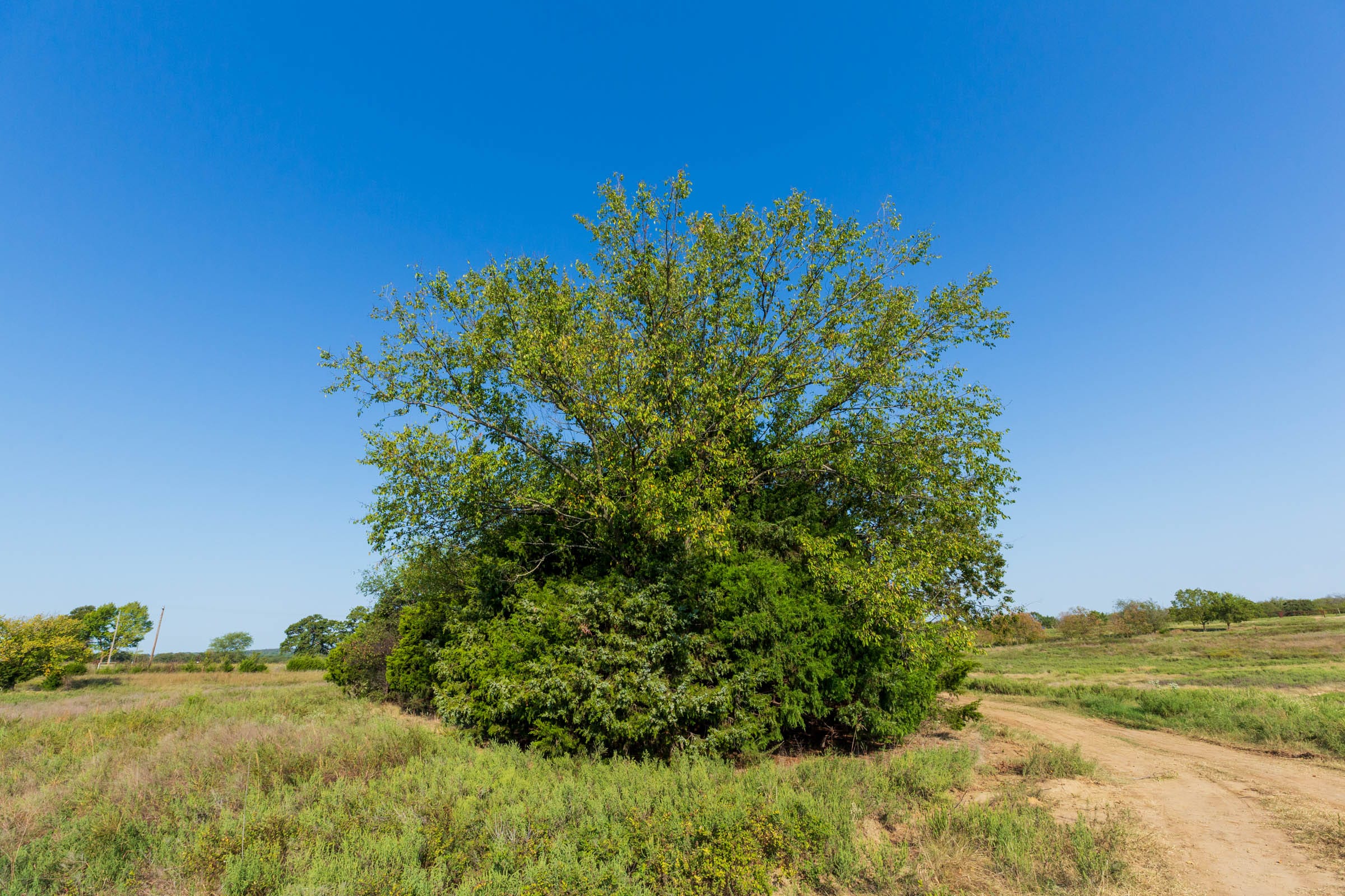 Canyon Creek Tract 4 photo 13