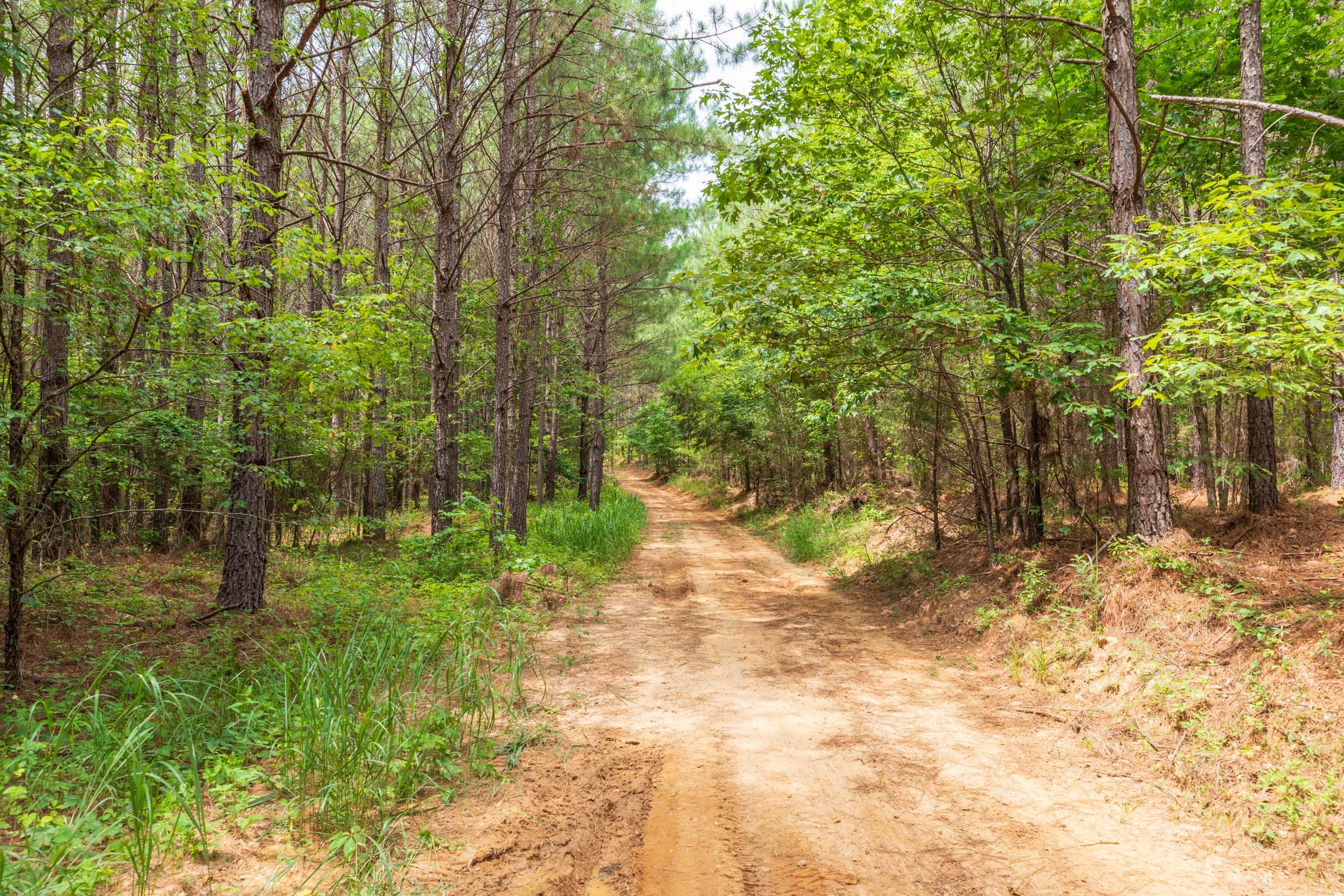 Whiskey Ridge Tract 16 photo 10