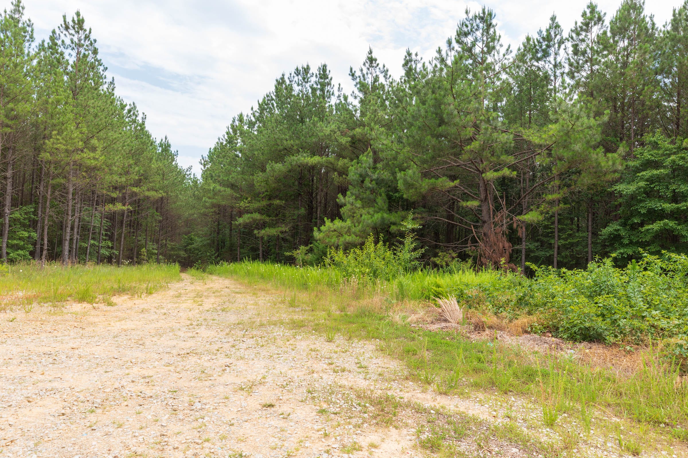 Whiskey Ridge Tract 16 photo 9