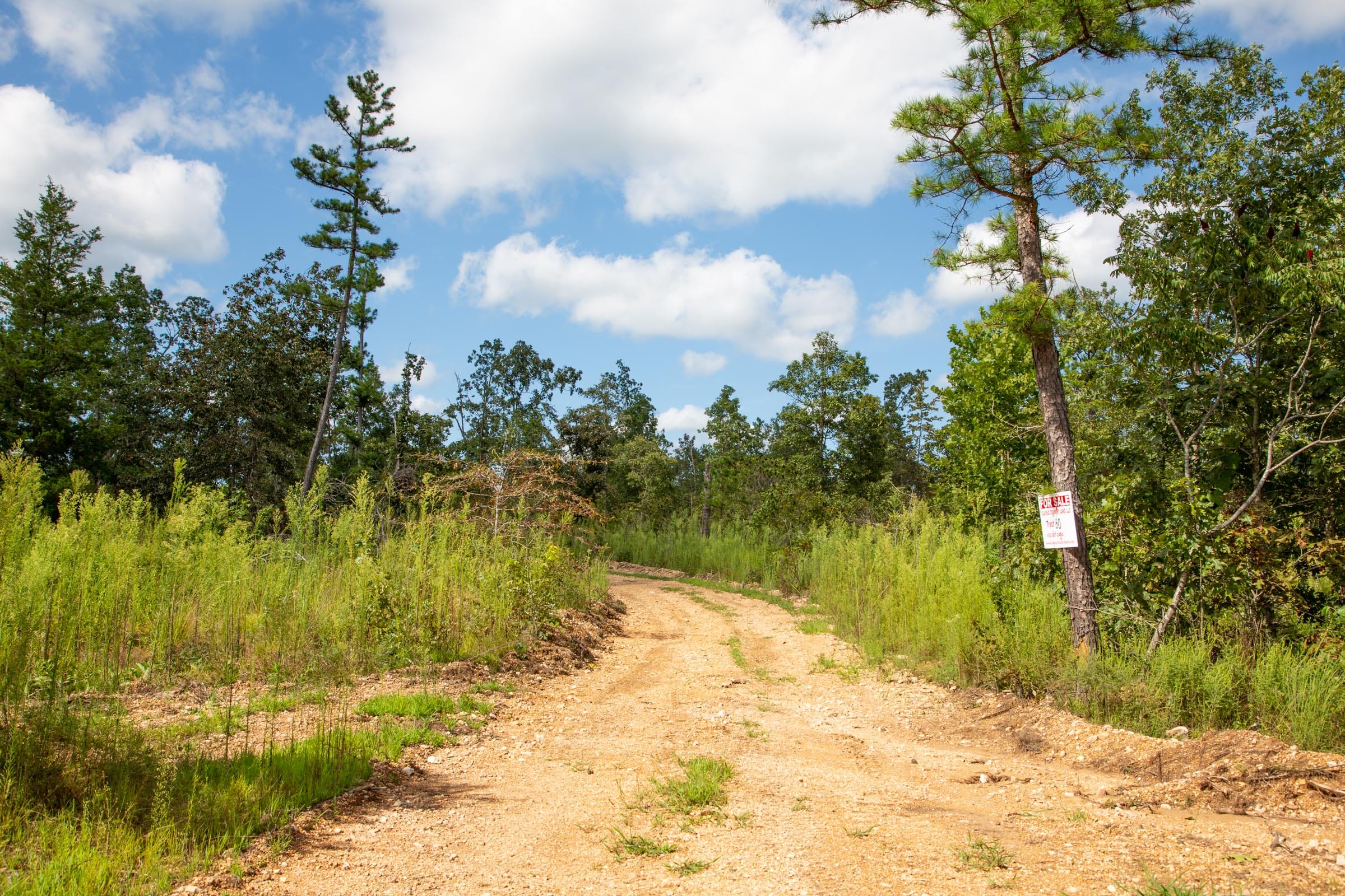Borgmann’s Hollow Phase II Tract 58 photo 1
