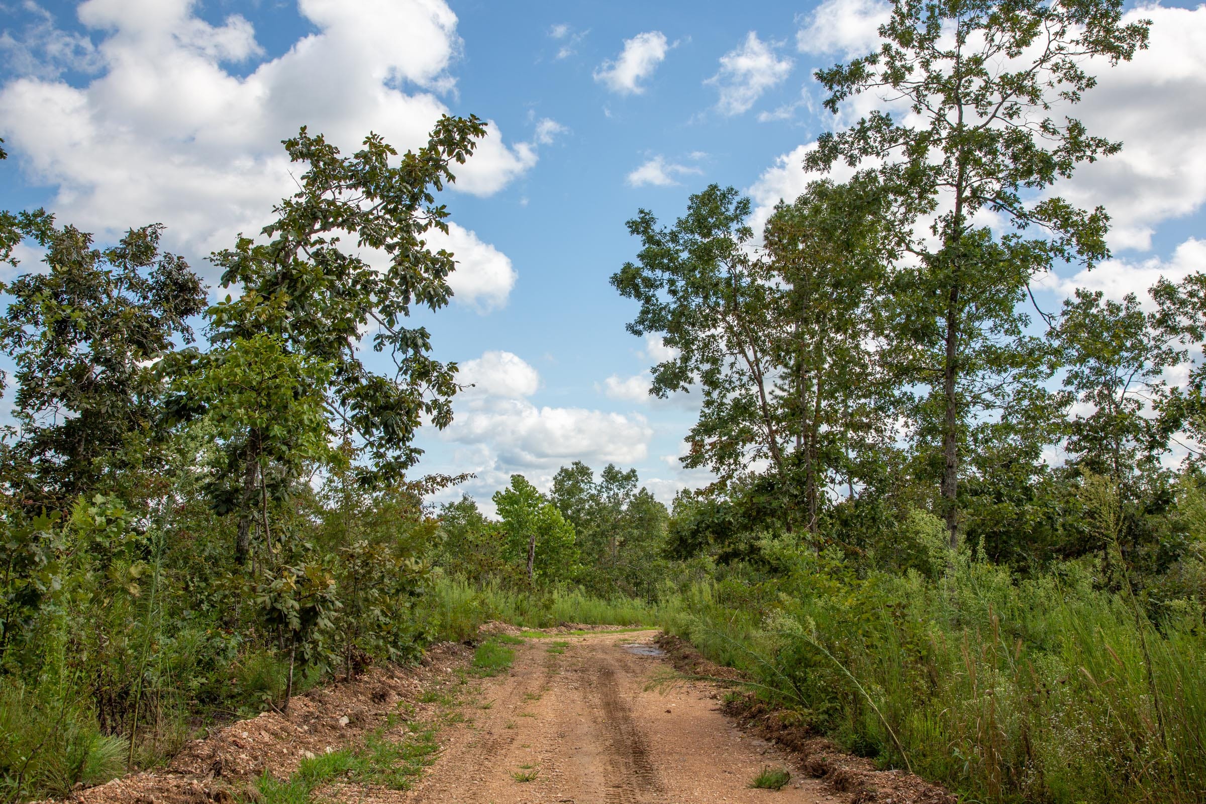Borgmann’s Hollow Phase II Tract 58 photo 12