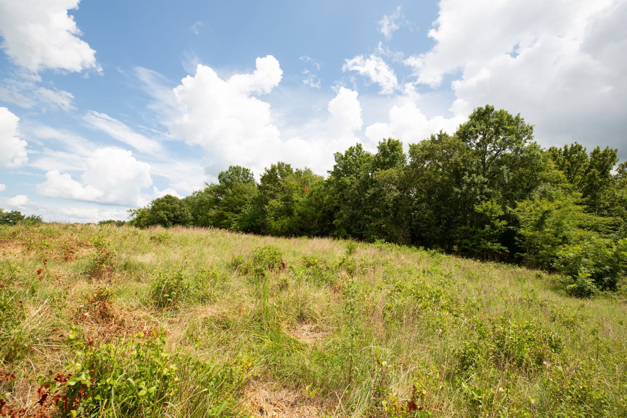 Paradise Valley Tract 17 photo 3
