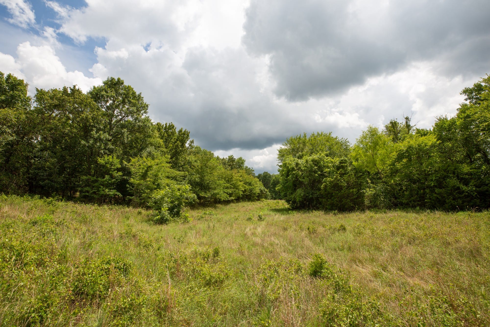 Paradise Valley Tract 17 photo 5