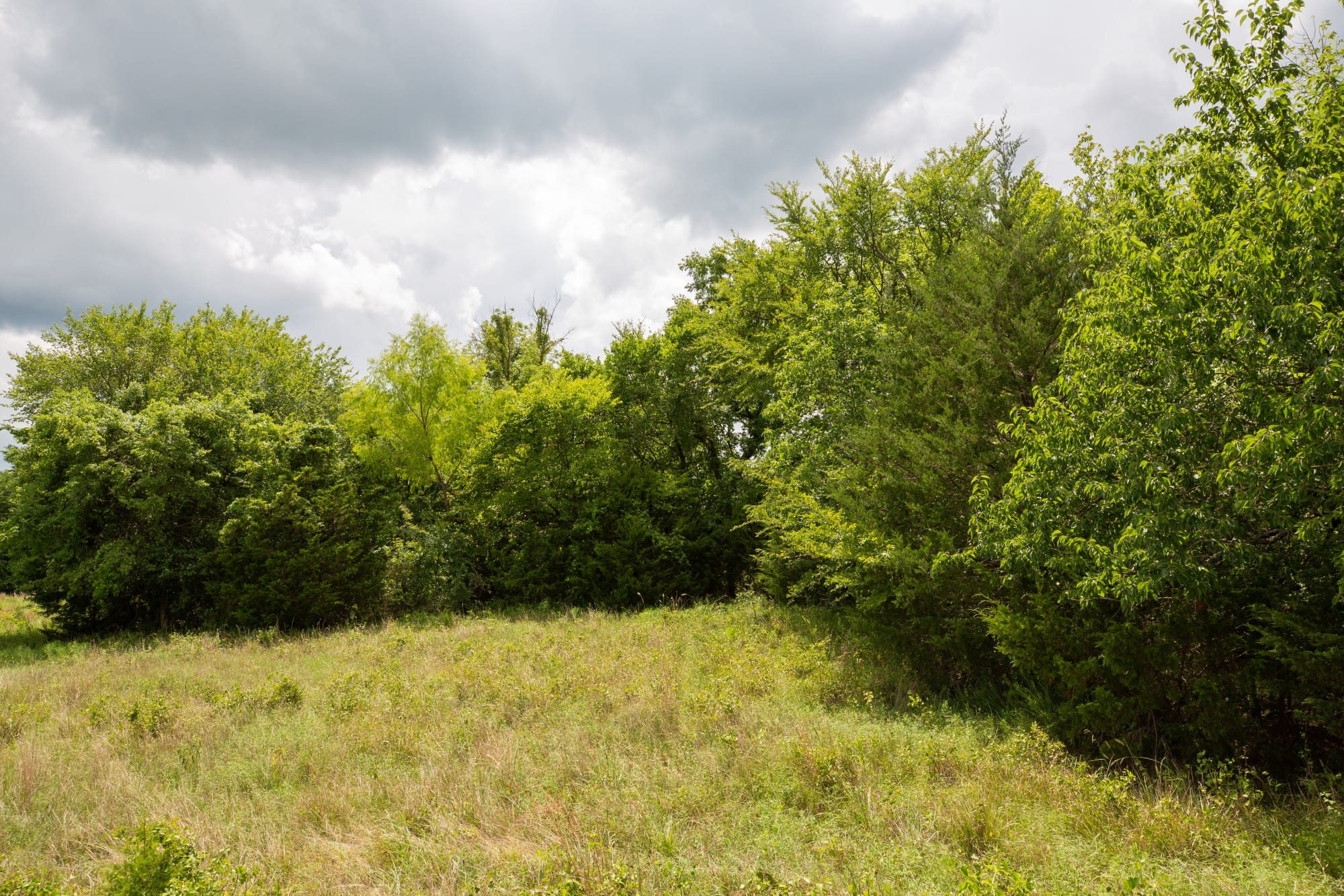 Paradise Valley Tract 17 photo 6