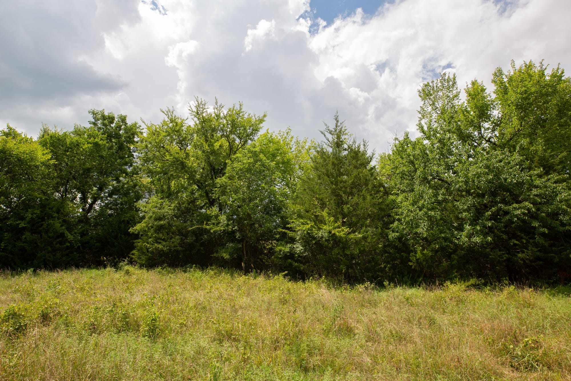 Paradise Valley Tract 17 photo 8