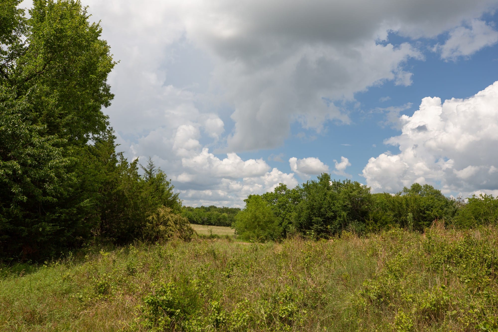 Paradise Valley Tract 17 photo 10