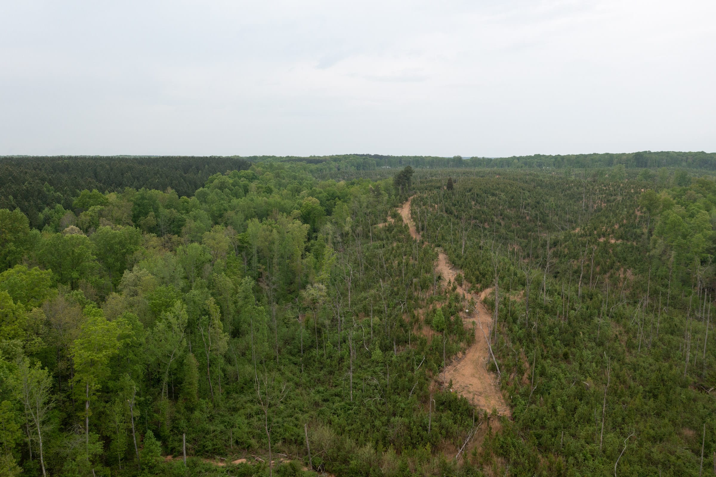 Red Barn Ranch Tract 40 photo 11