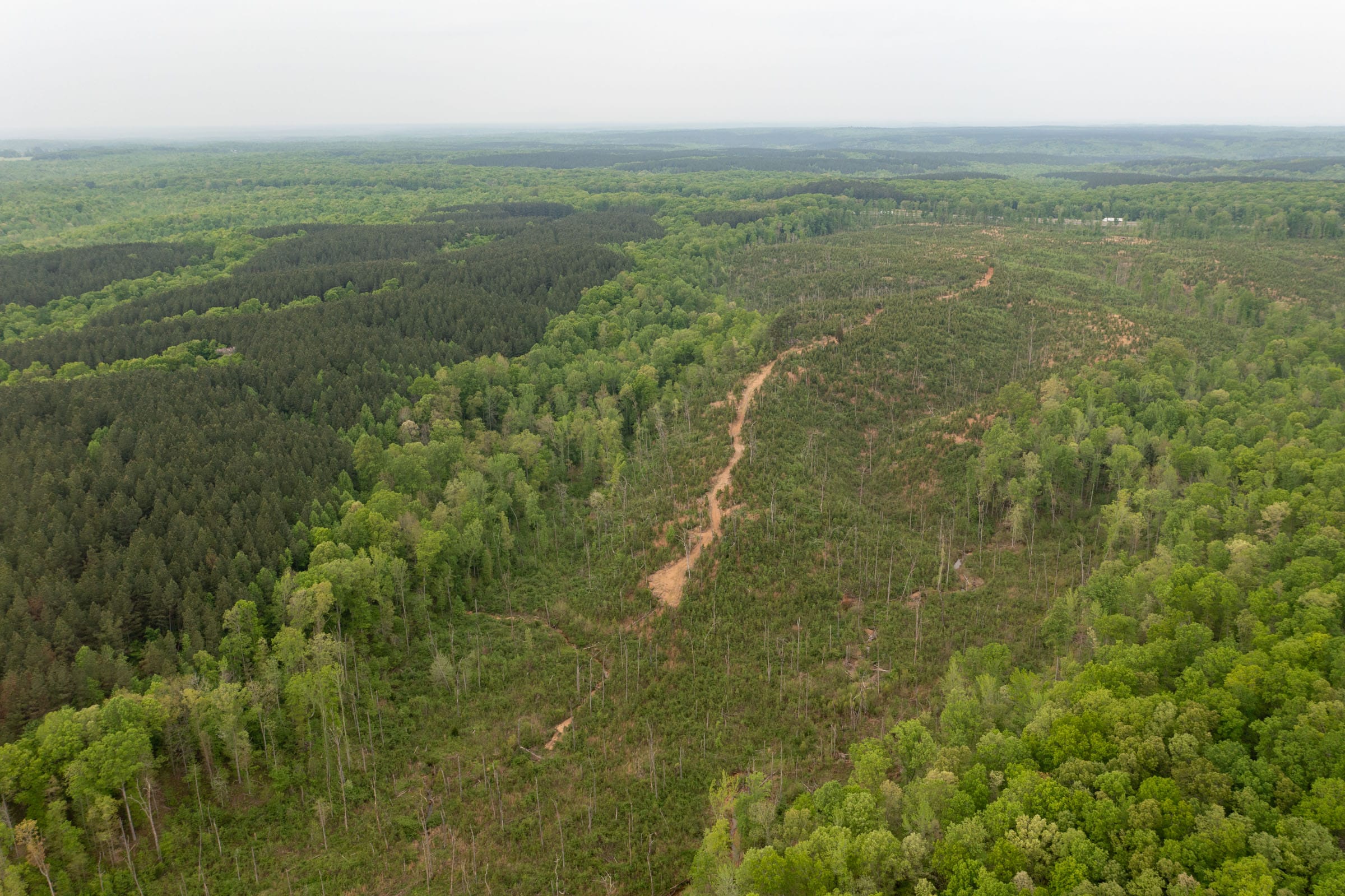 Red Barn Ranch Tract 40 photo 12