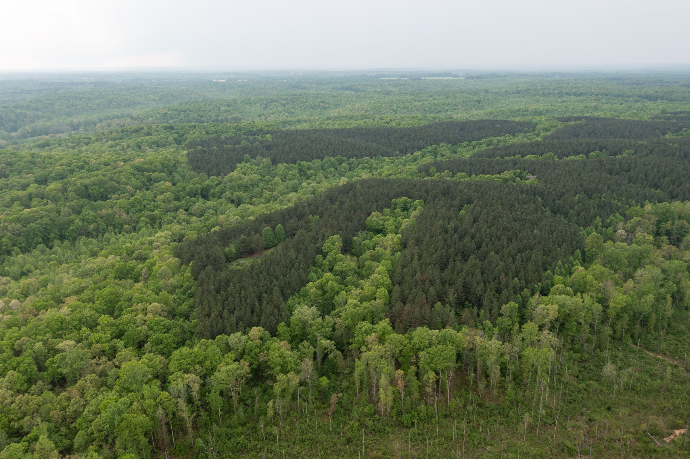 Red Barn Ranch Tract 40 photo 13