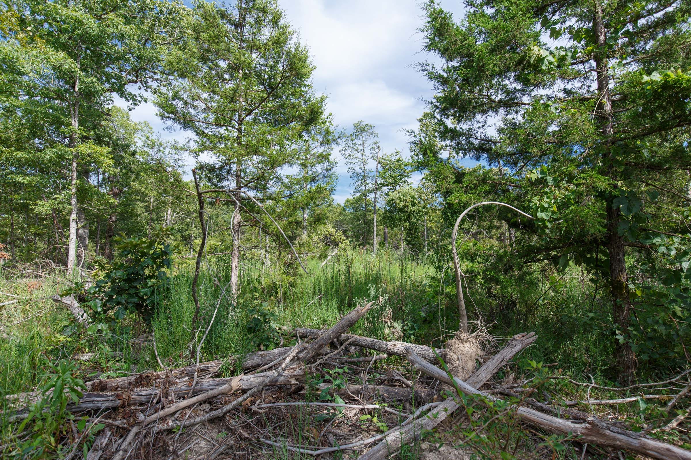 Wildwood Tract 29 photo 2