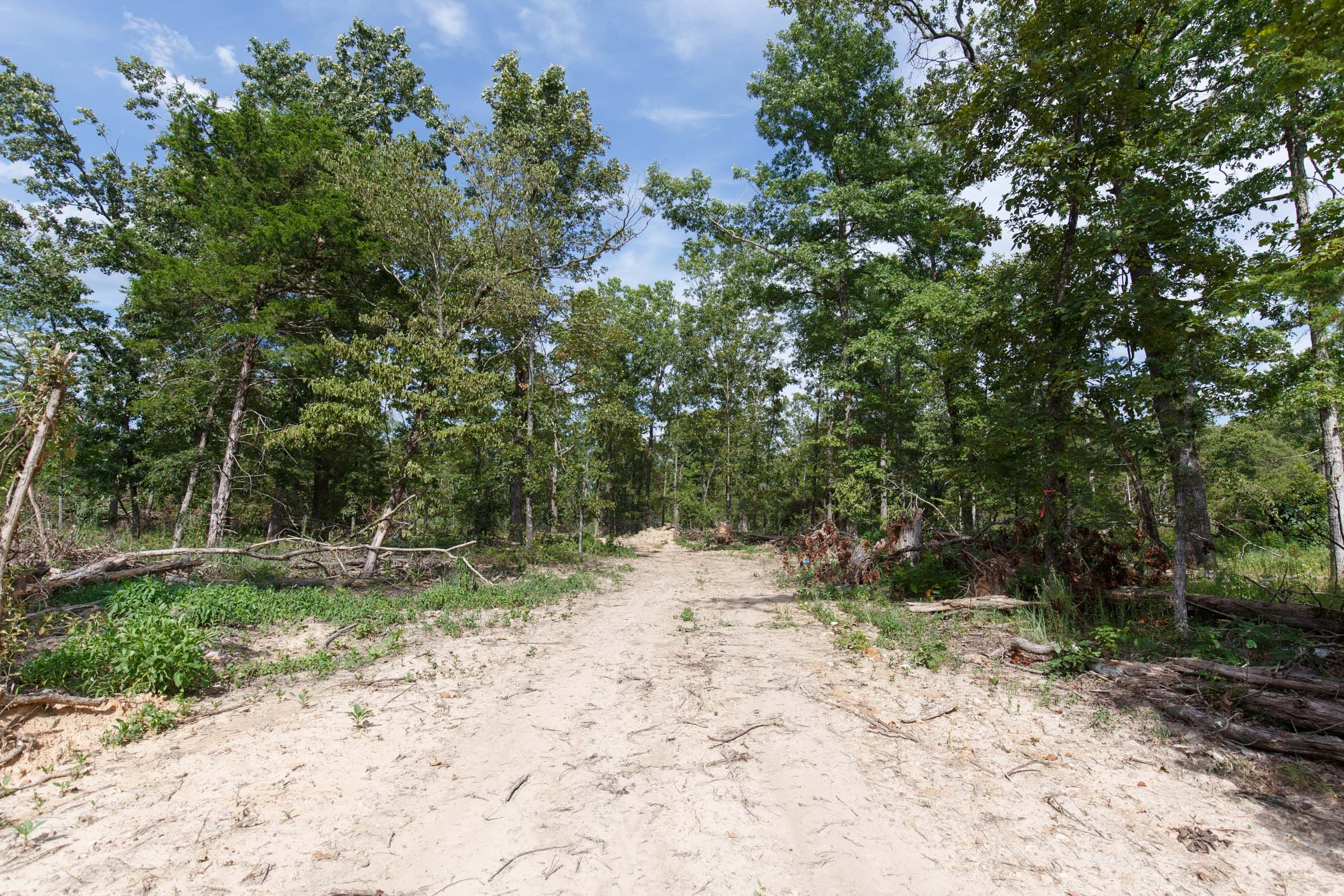 Wildwood Tract 29 photo 3